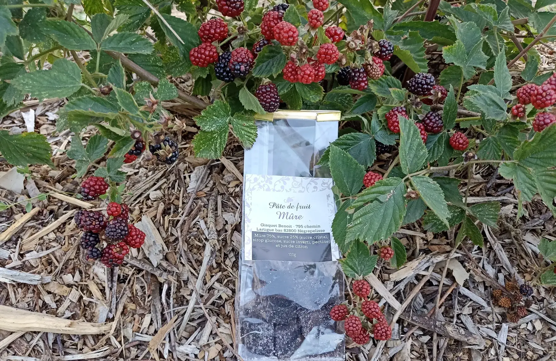 pâte de fruits 75% mûre 100g