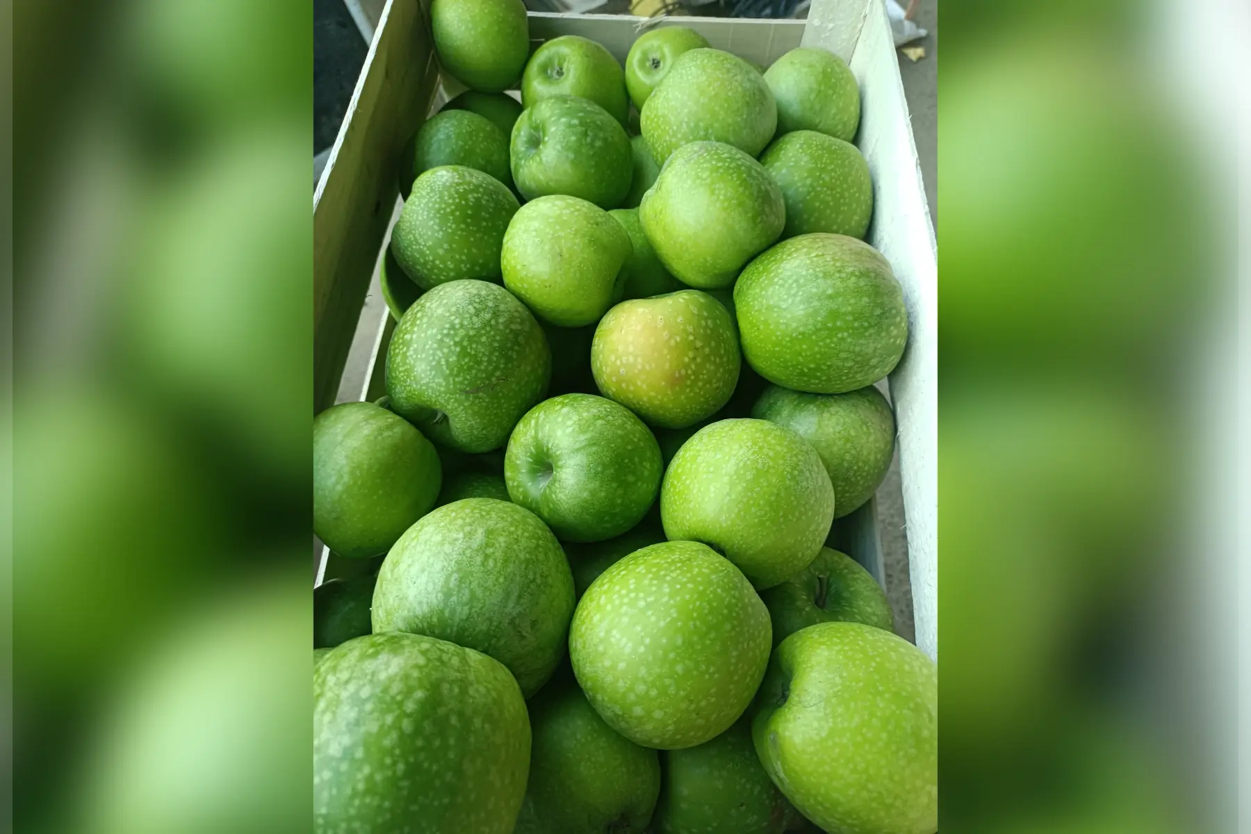 Plateau Granny Smith