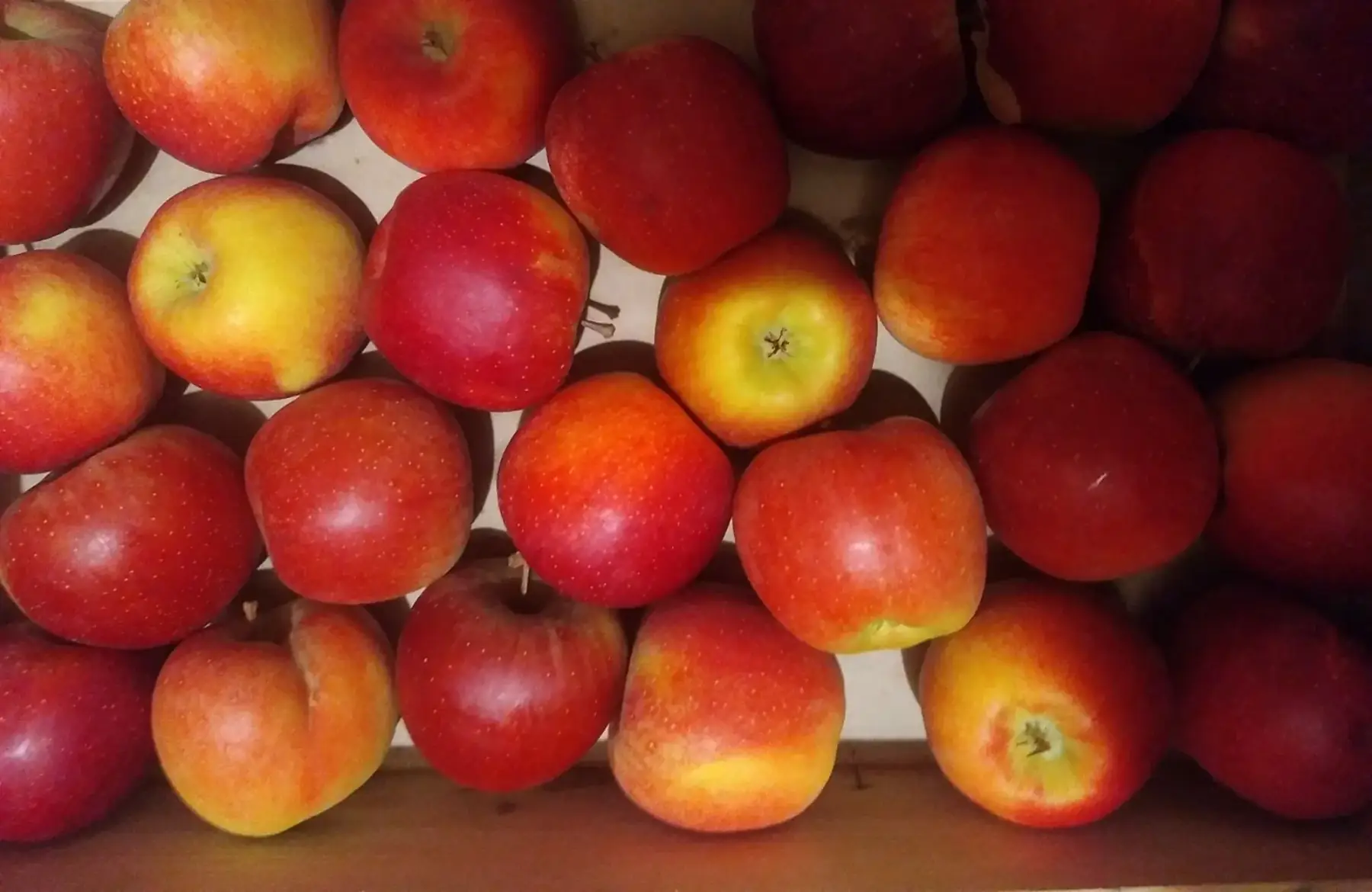 Plateau swing sans traitement tavelure