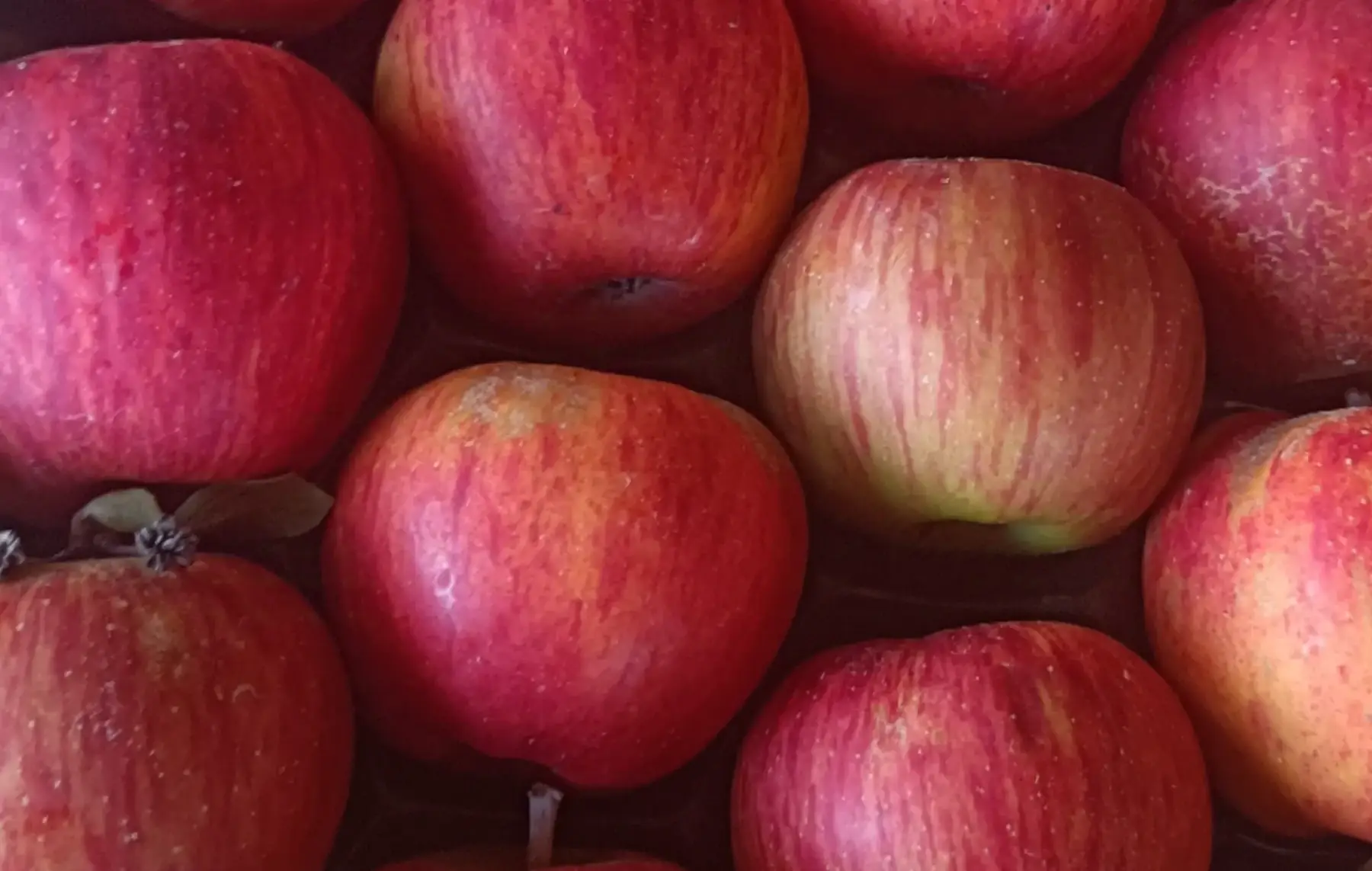 Pommes Reine des Reinettes au kg