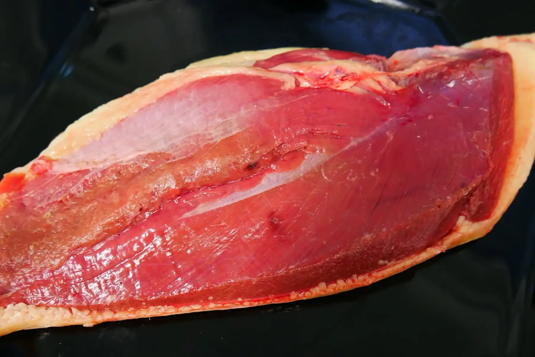 magret frais igp sud ouest