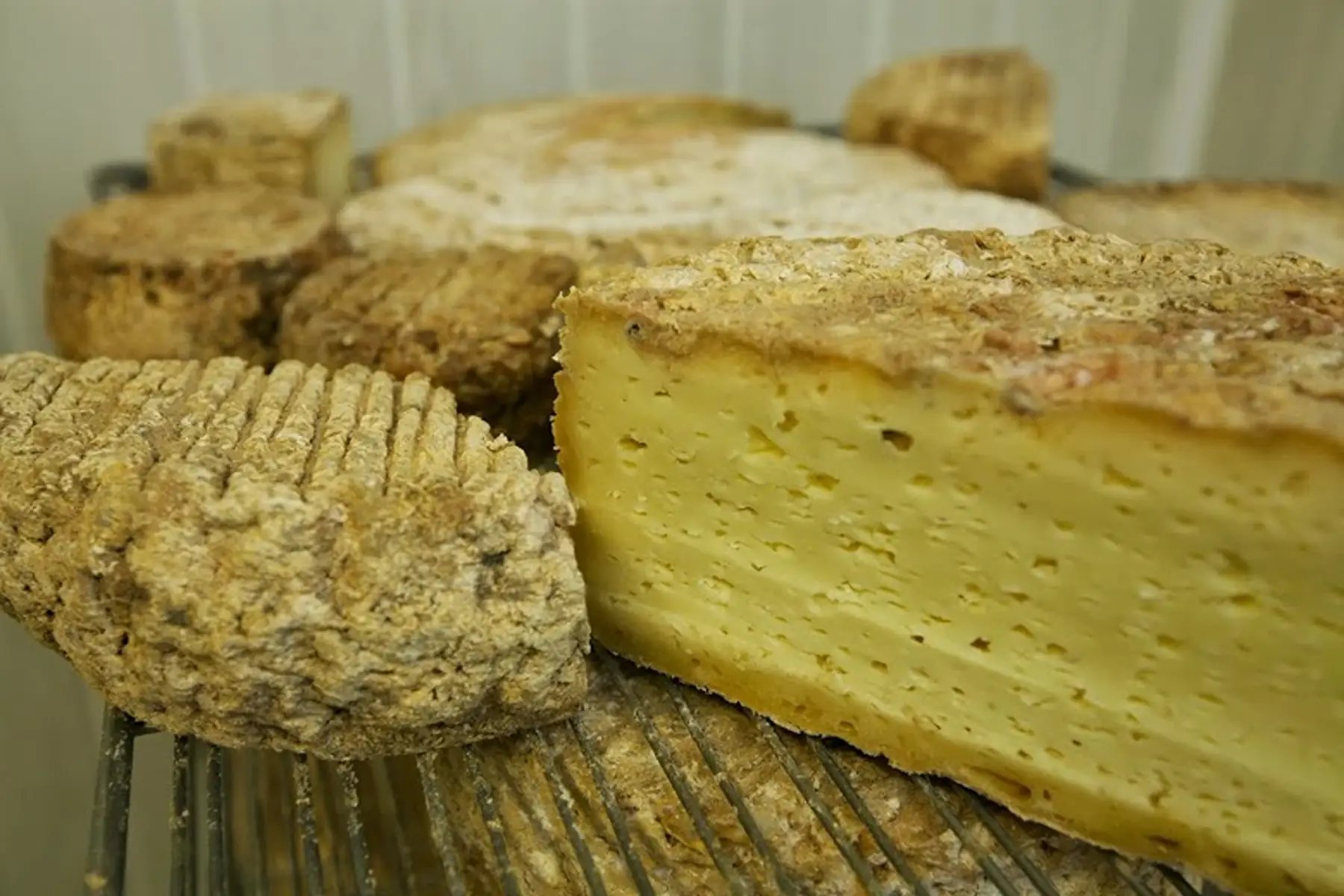 tomme de brebis