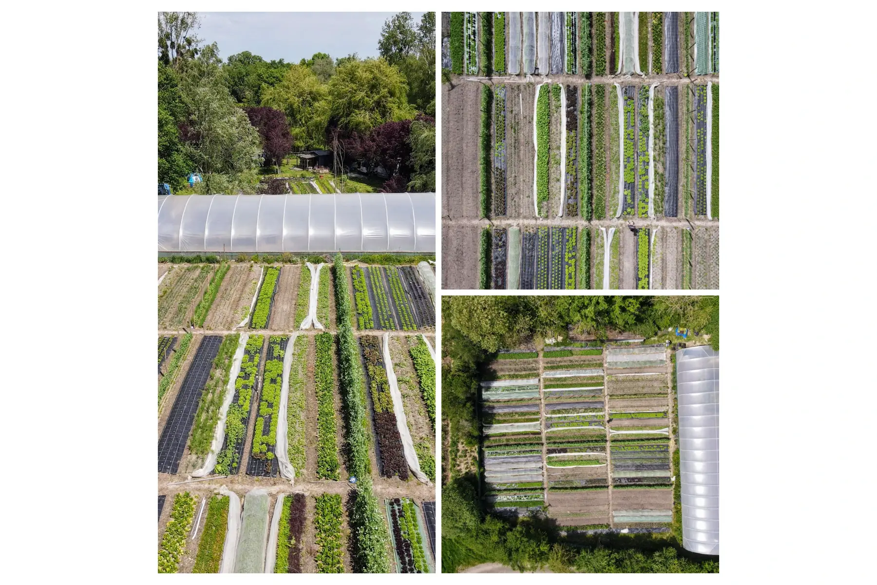 Les Jardins de Serley