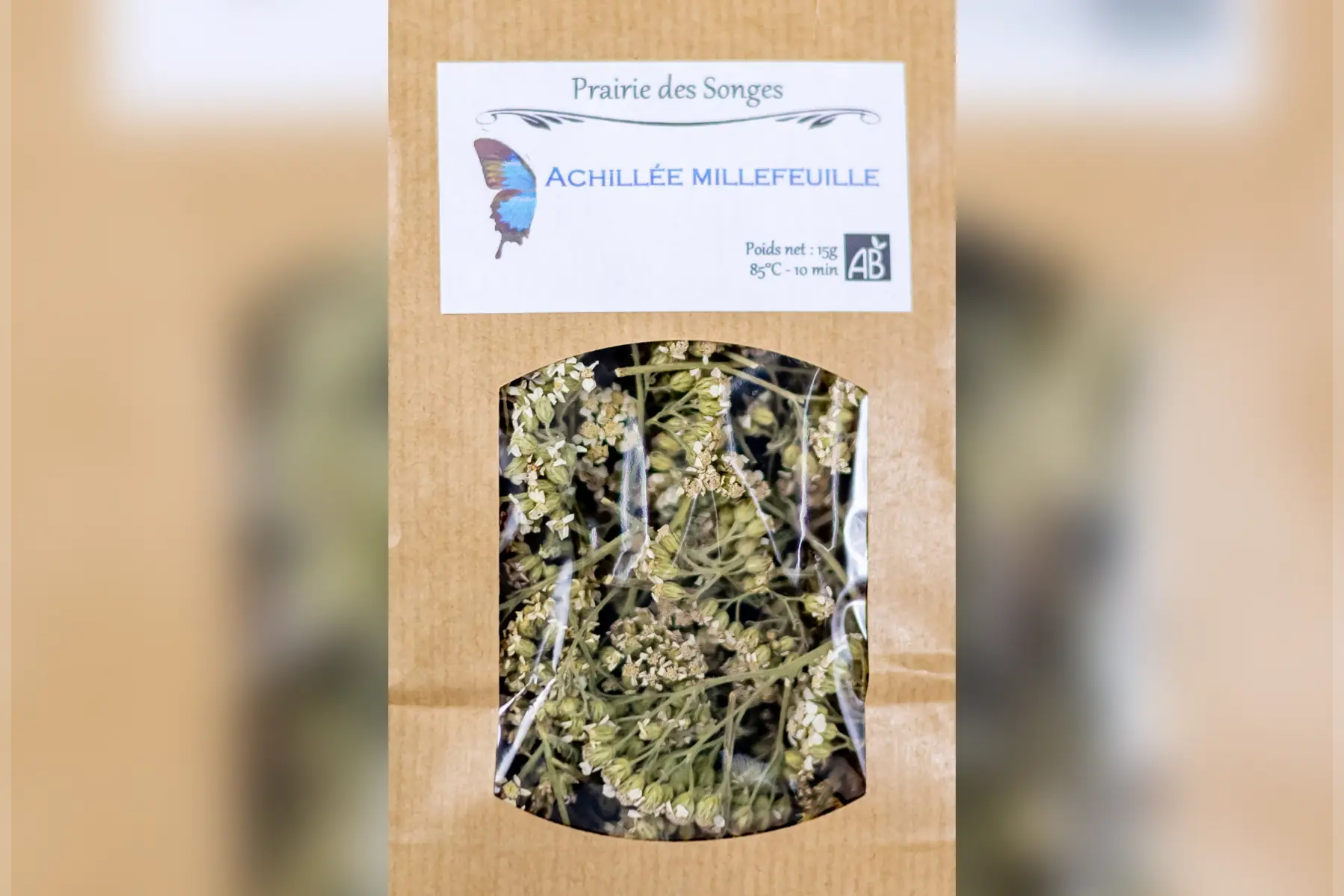 achillée millefeuille