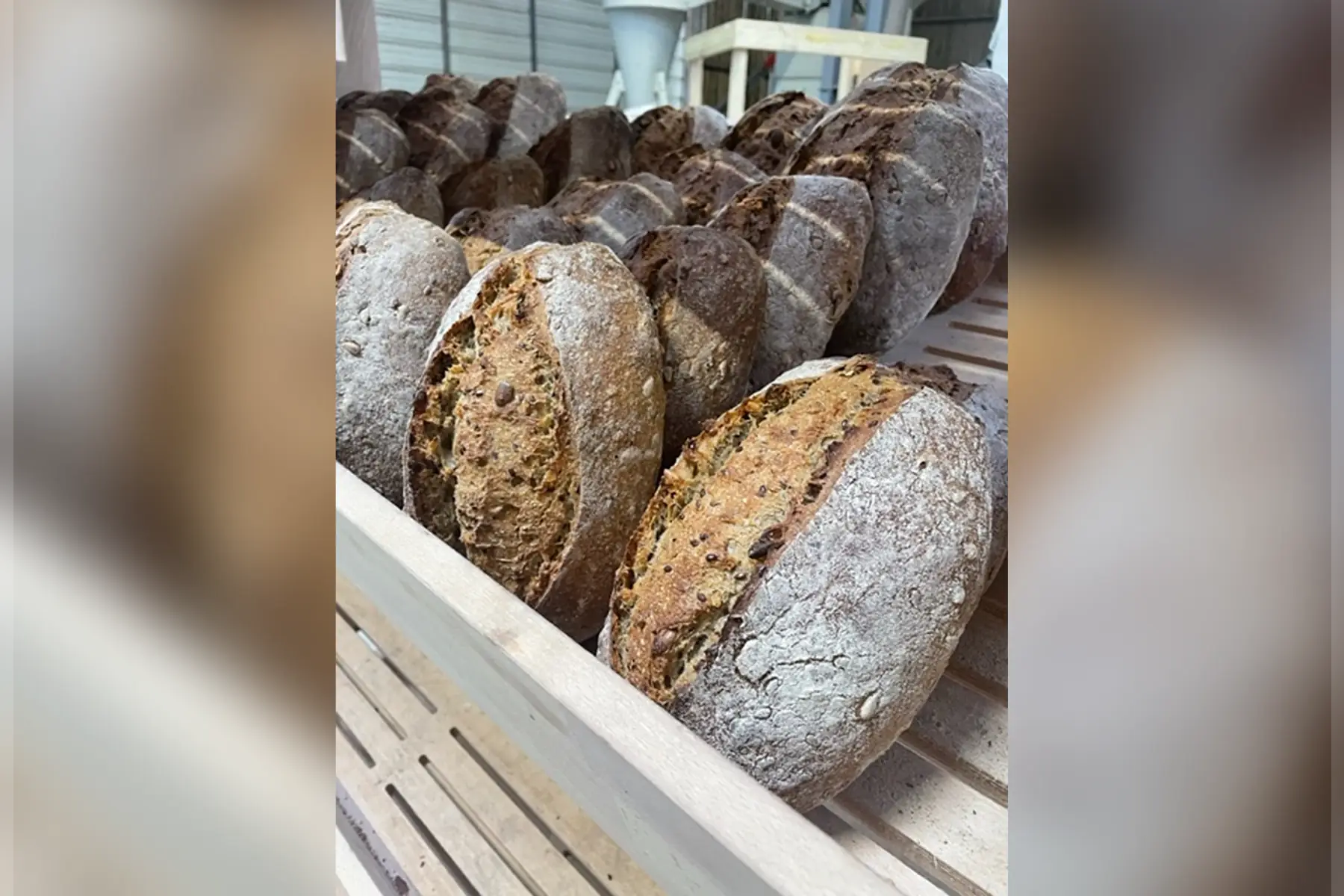 pain de campagne aux graines 750g