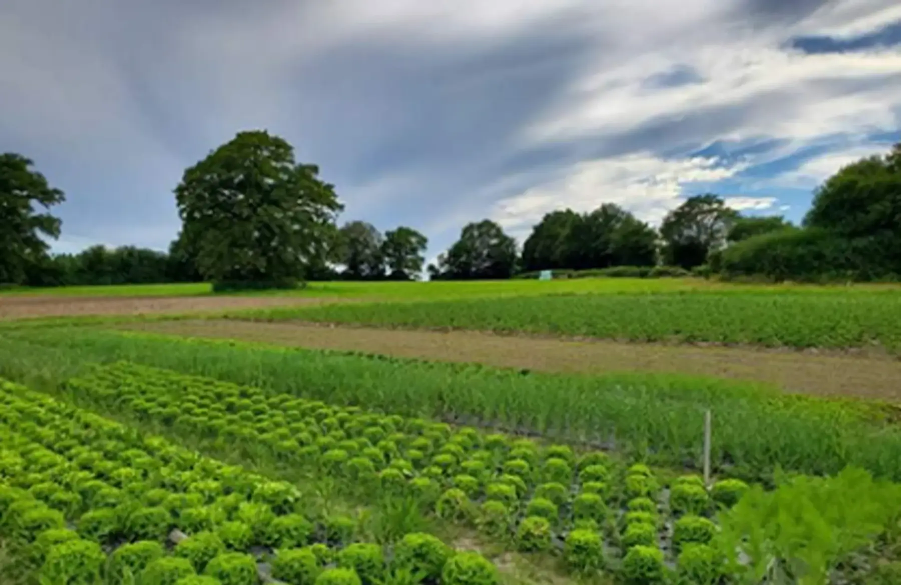Du champ à l'assiette 72