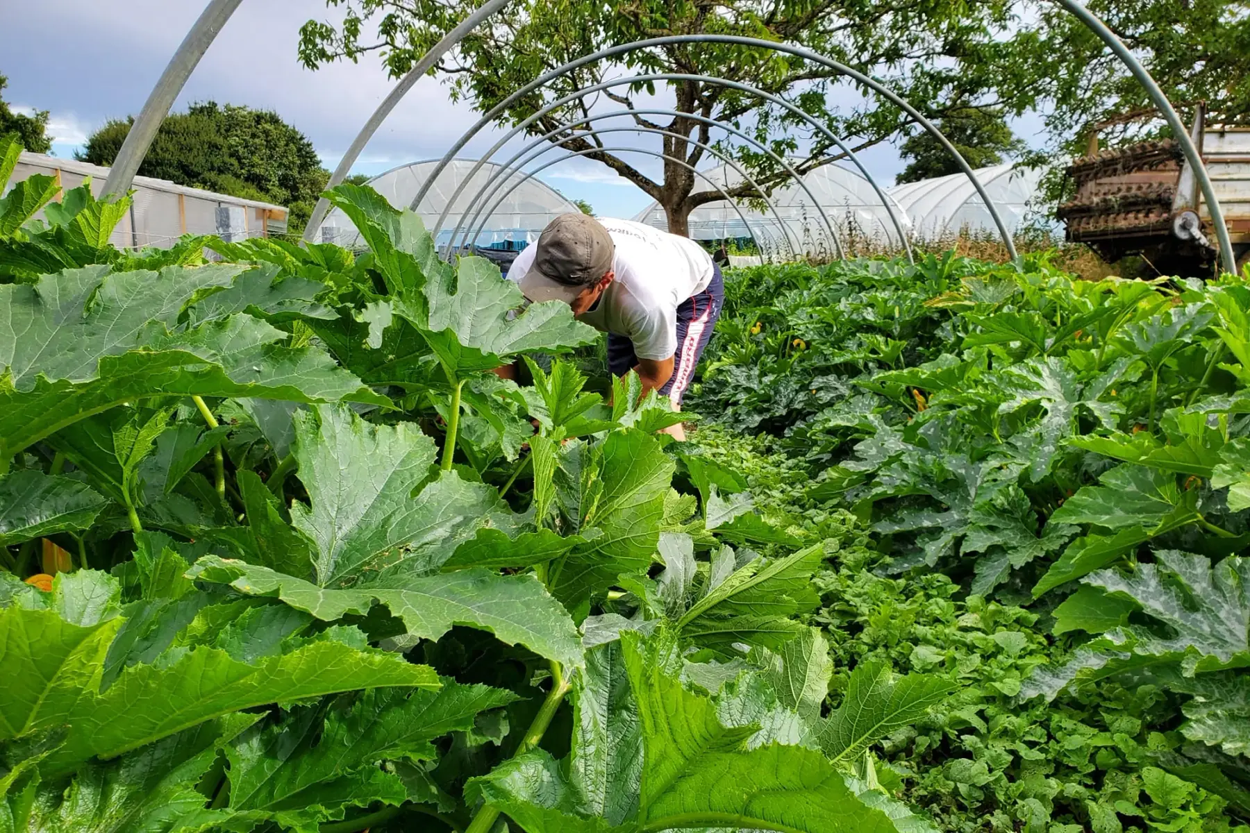 Du champ à l'assiette 72