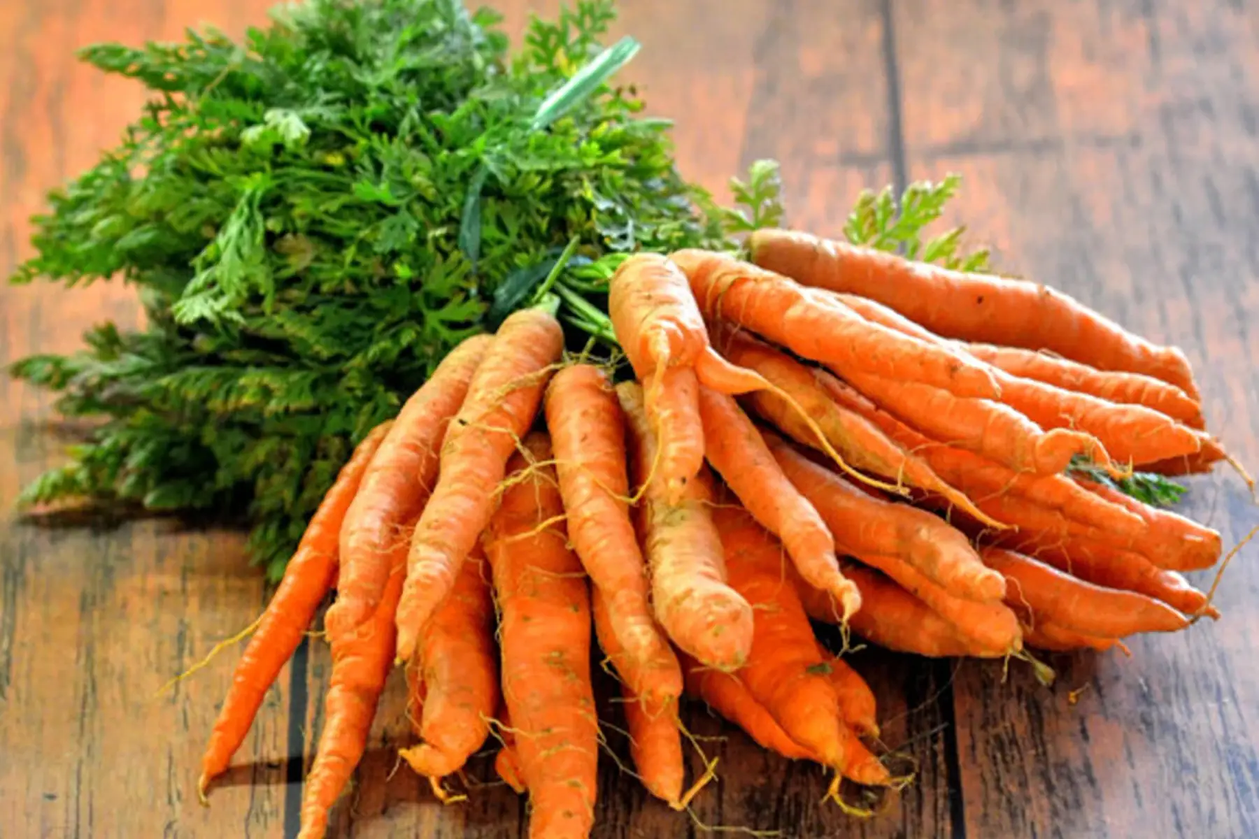 lessac'crés légumes