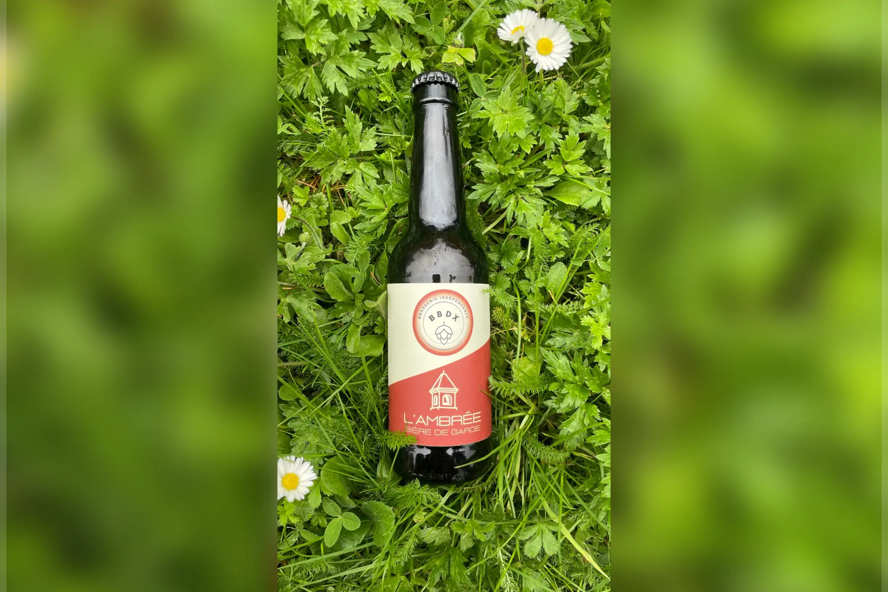 bière ambrée 33cL