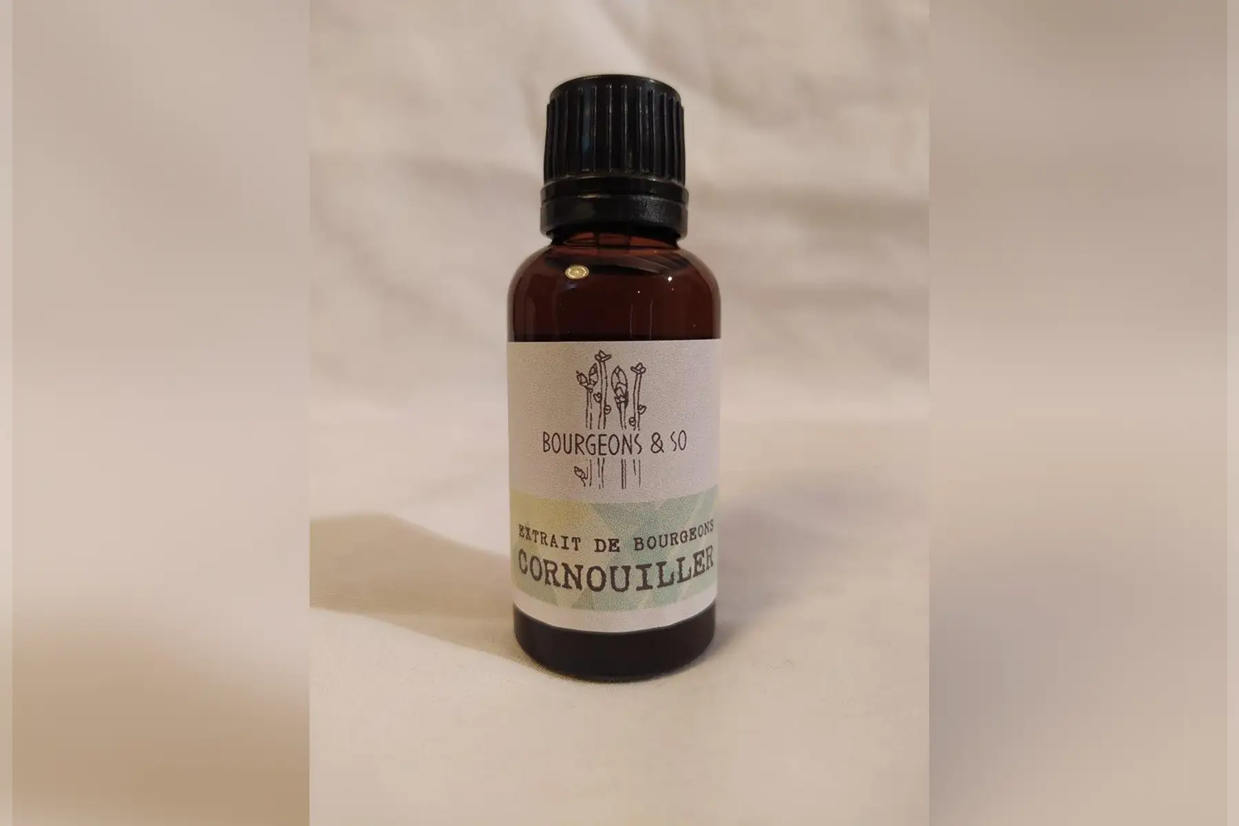macérât concentré de cornouiller sanguin