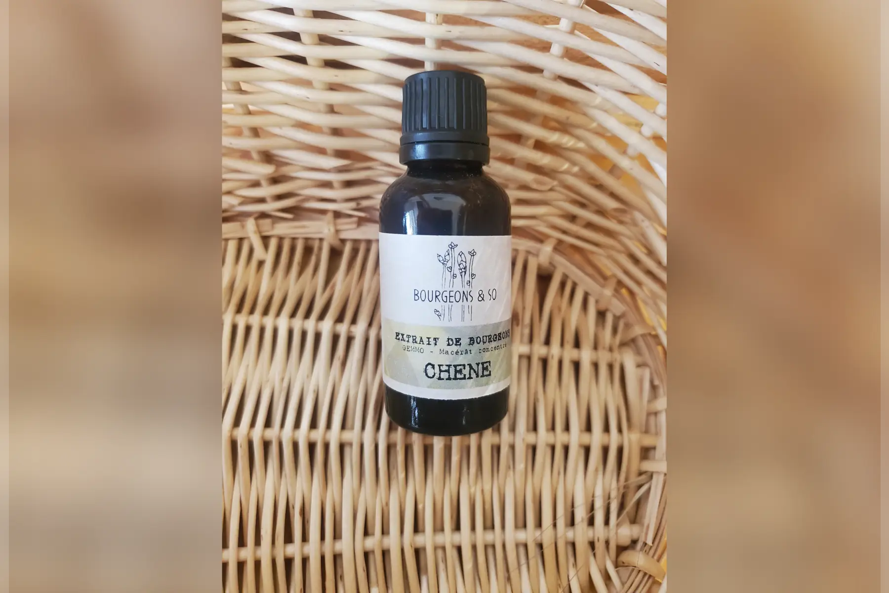 macérât concentré de chêne pubescent