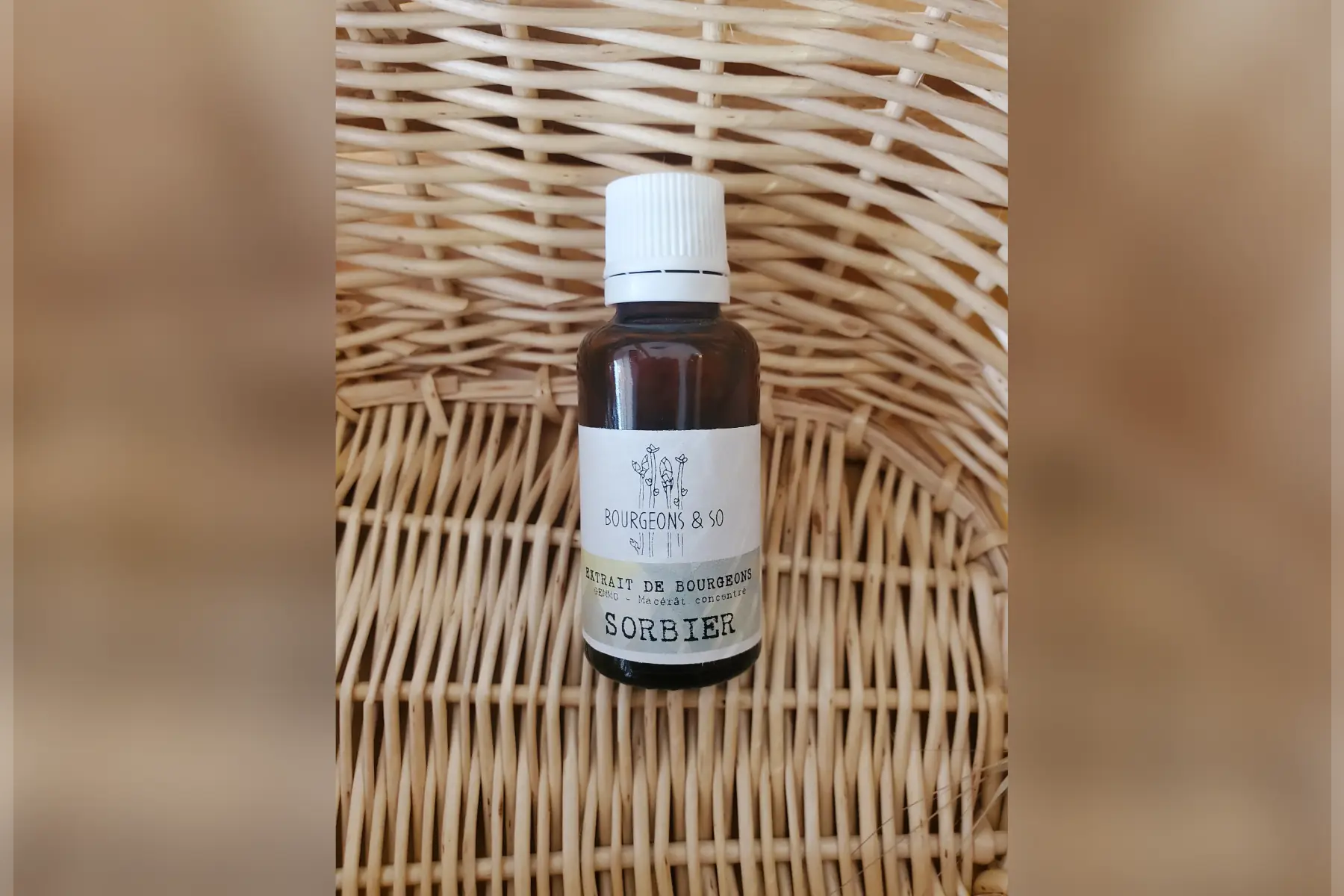 macérât concentré de sorbier des oiseleurs