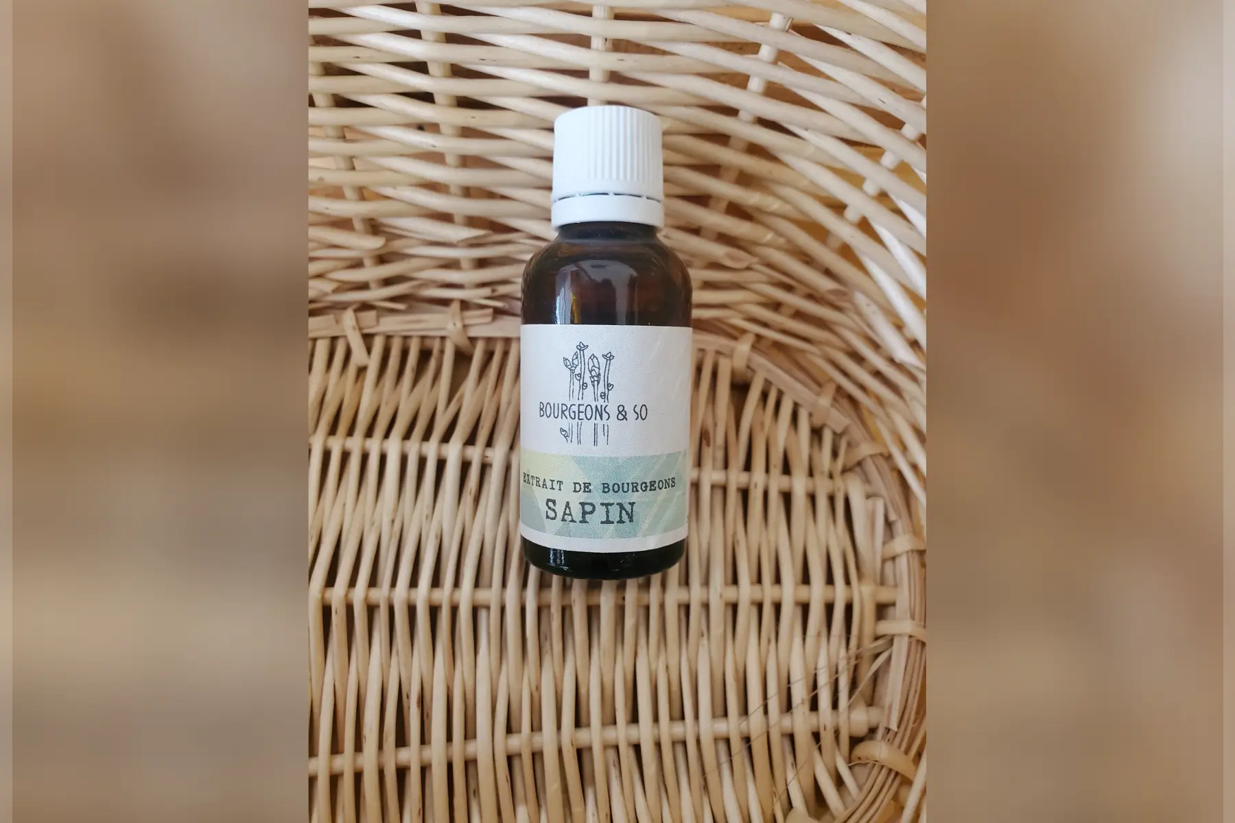 macérât concentré de sapin pectiné