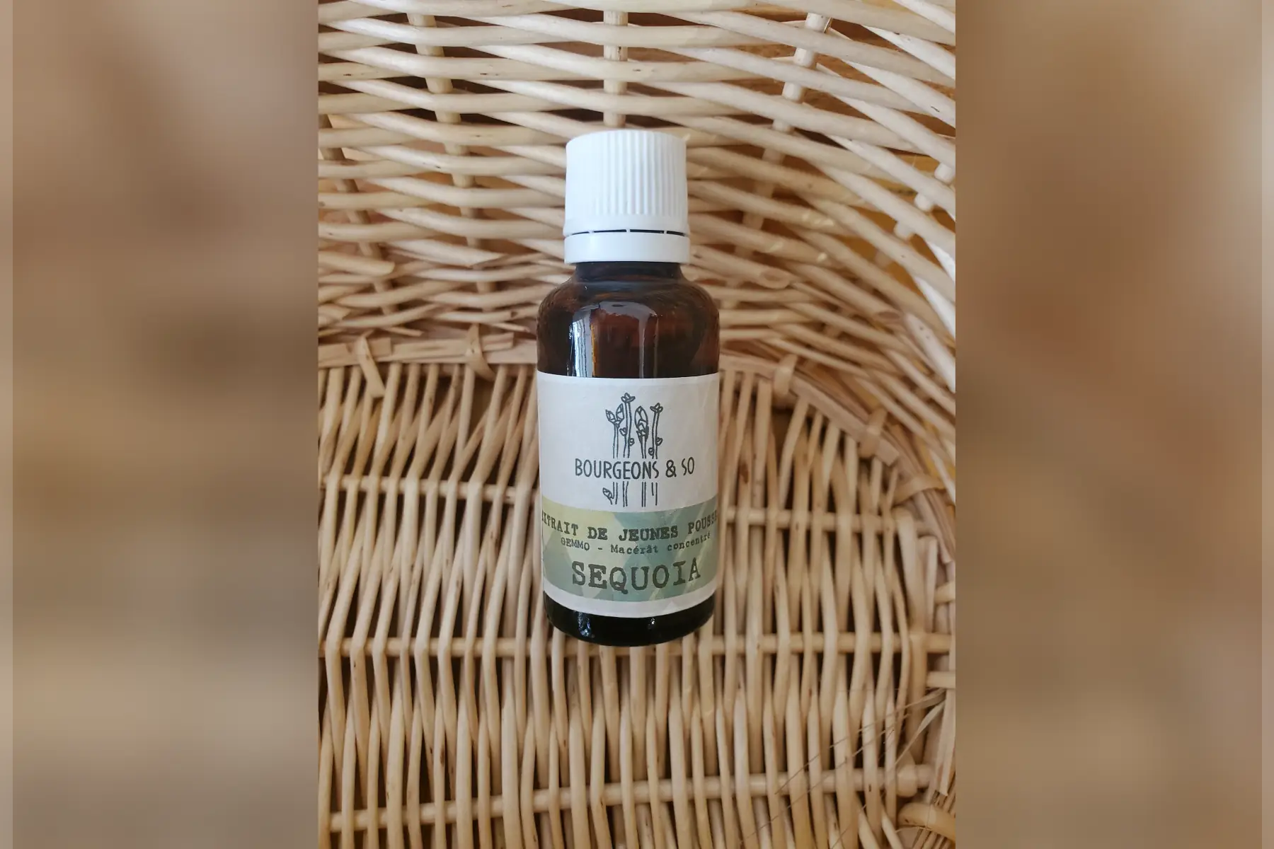 macérât concentré de séquoïa