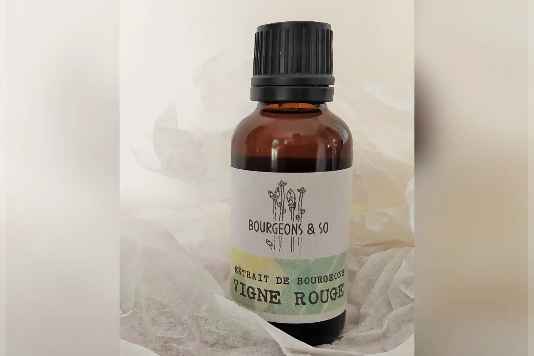 macérât concentré de vigne rouge