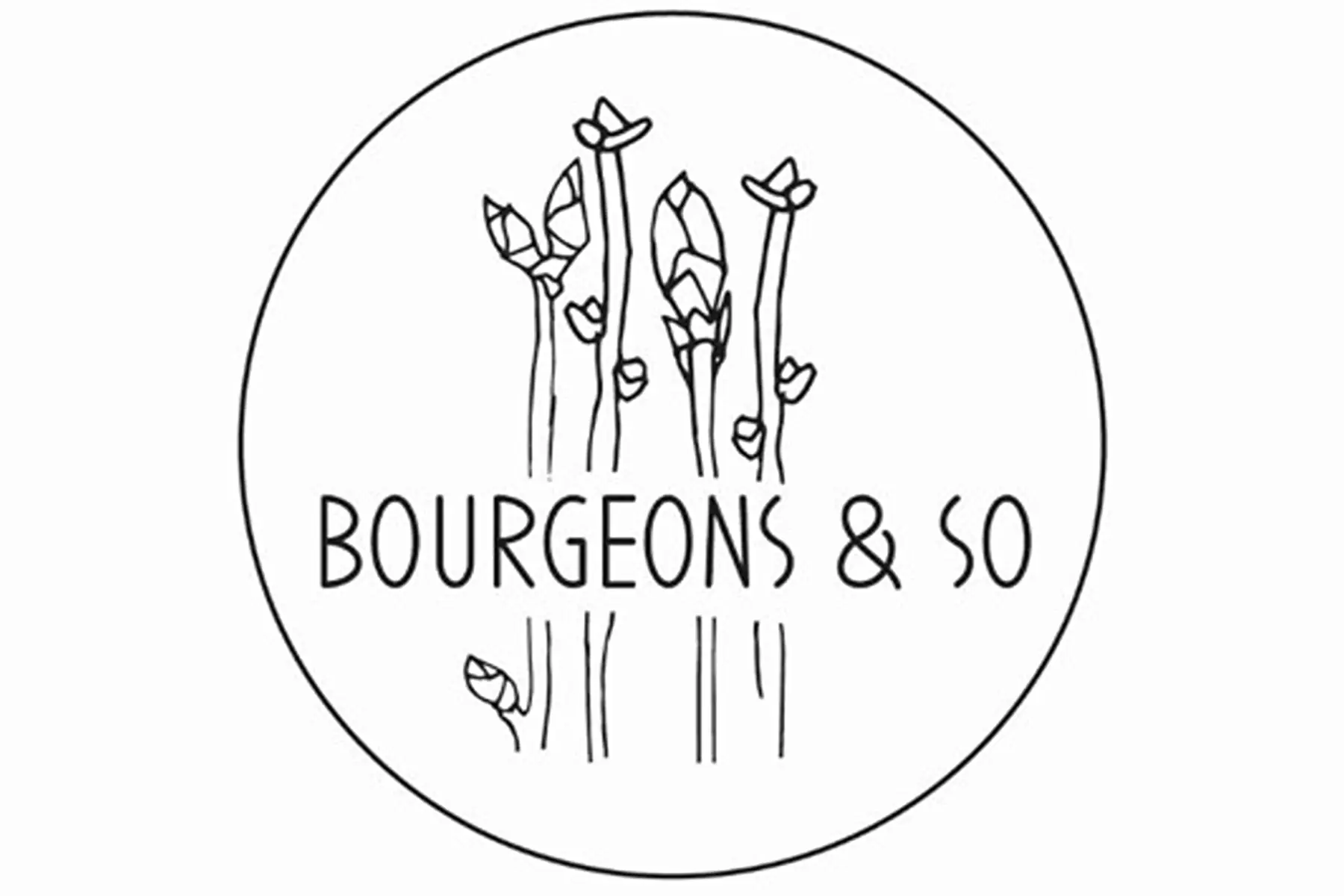 a noter : gemmotherapie ou extraits de bourgeons