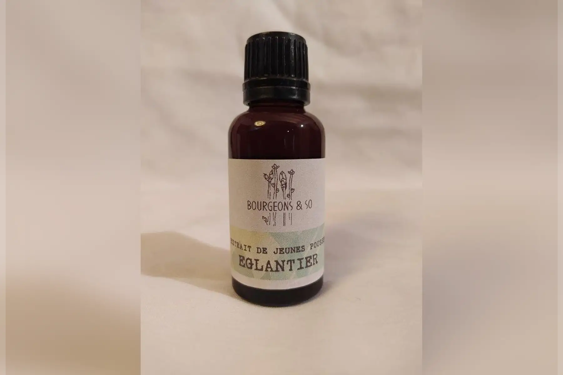 macérât concentré d'églantier