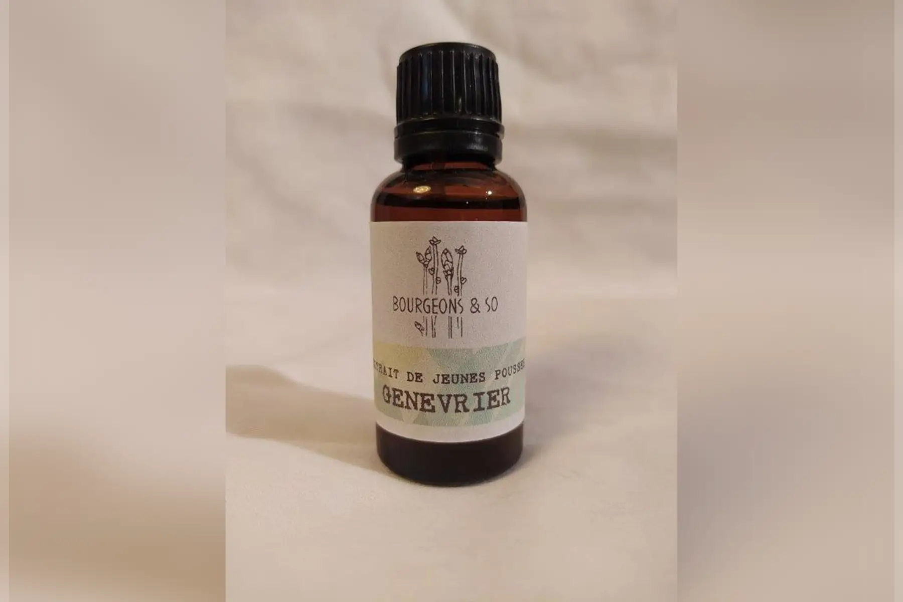 macérât concentré de genévrier commun