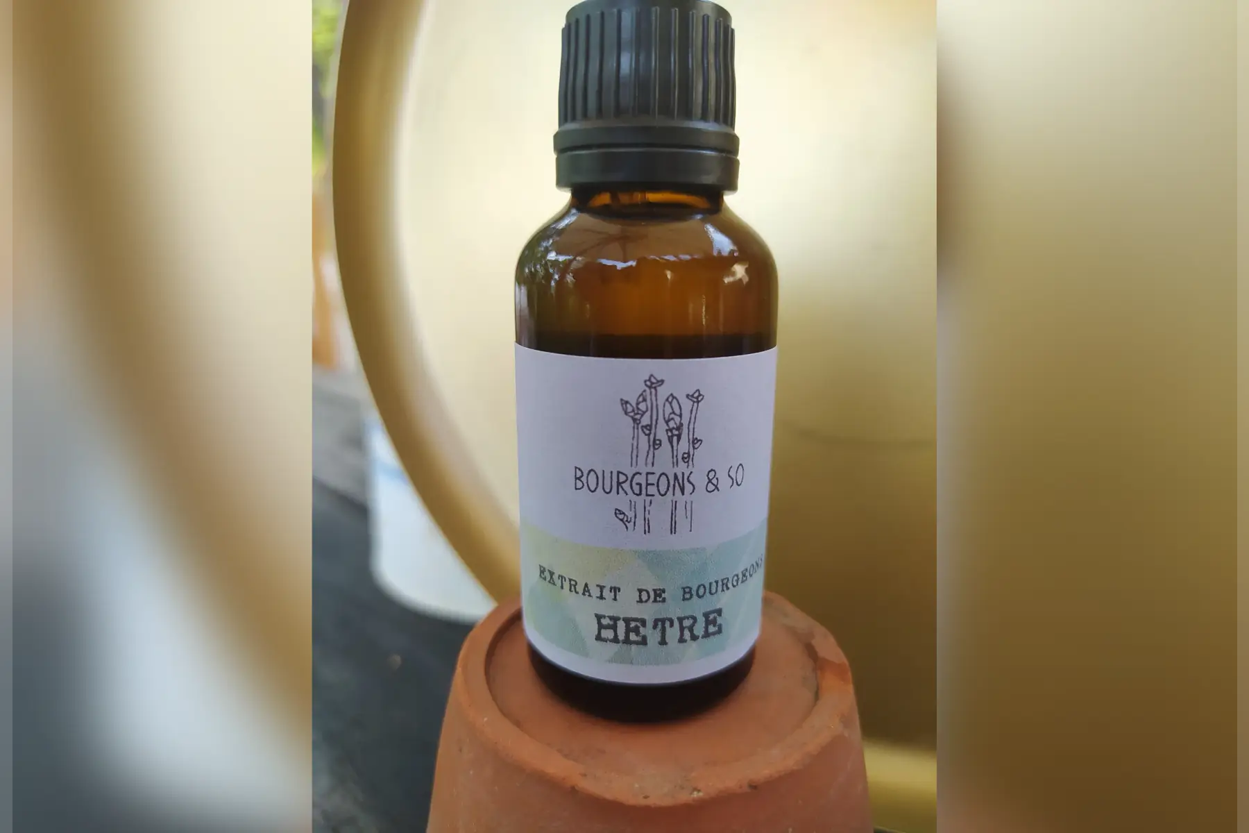 macérât concentré de hêtre