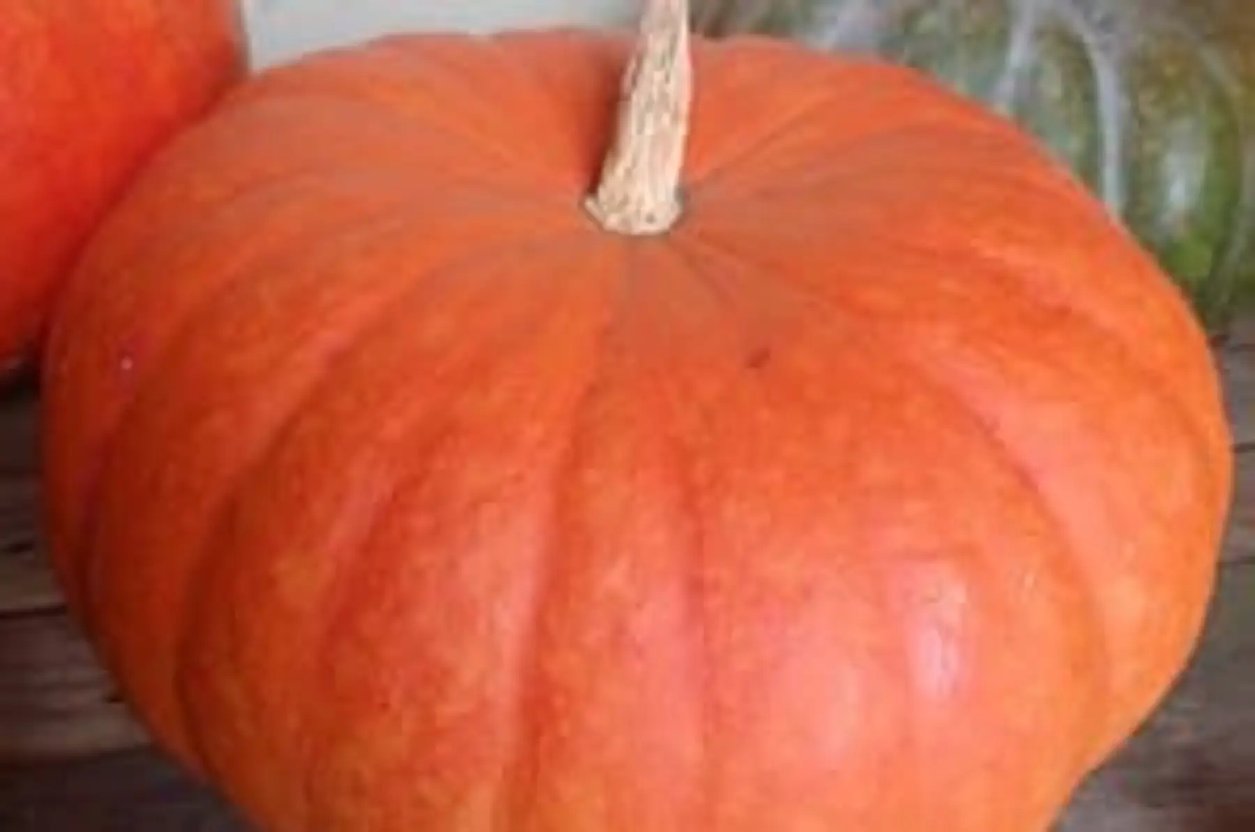 Potiron entier