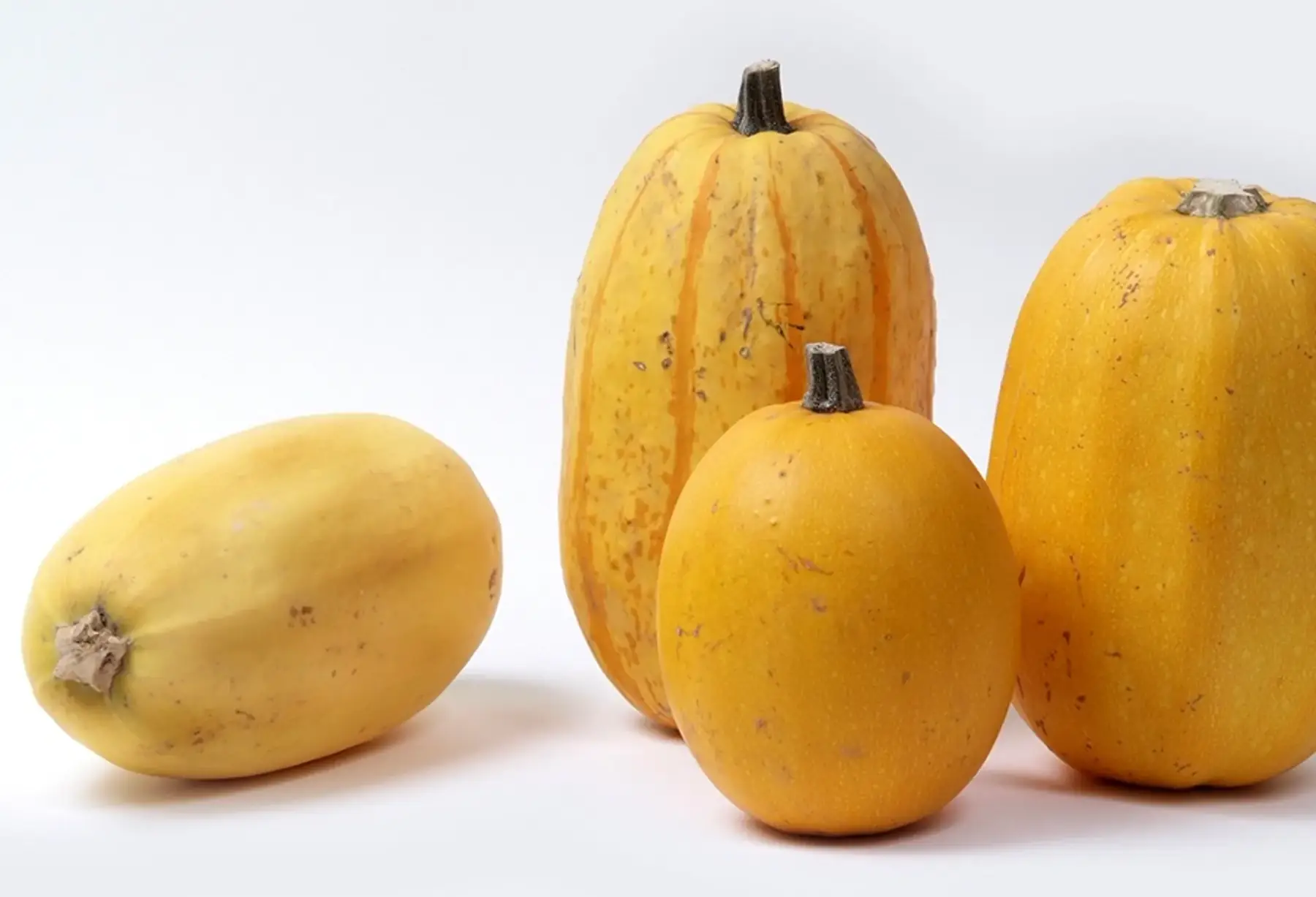 Courge spaghetti (petit)