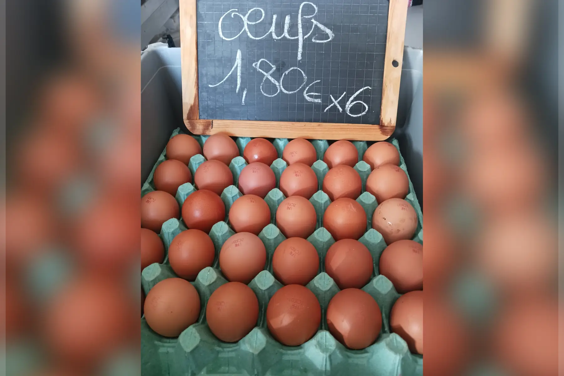 oeufs x6 bleu blanc coeur