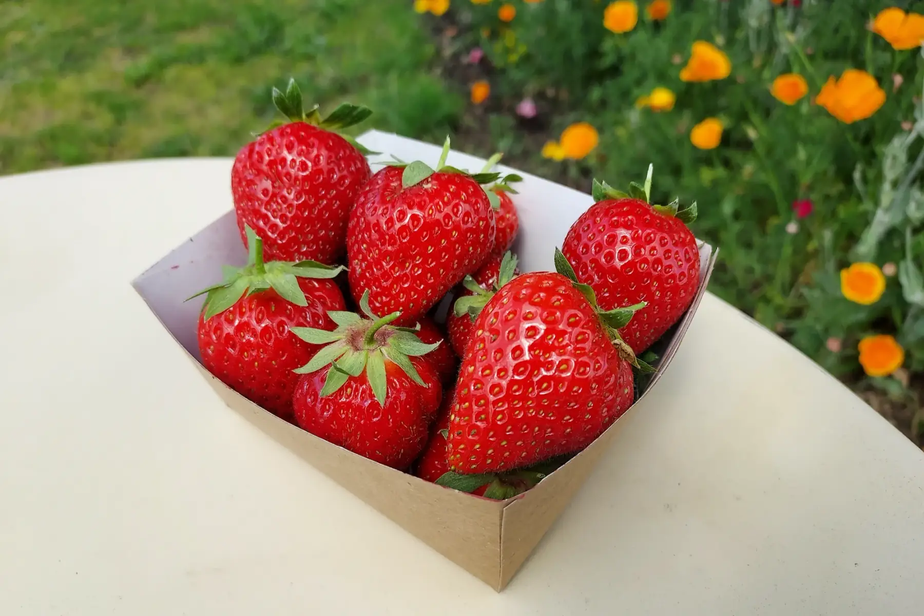 fraises 250 g