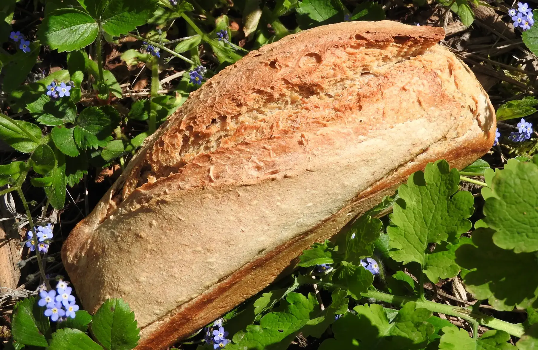 Le Fournil des fleurs