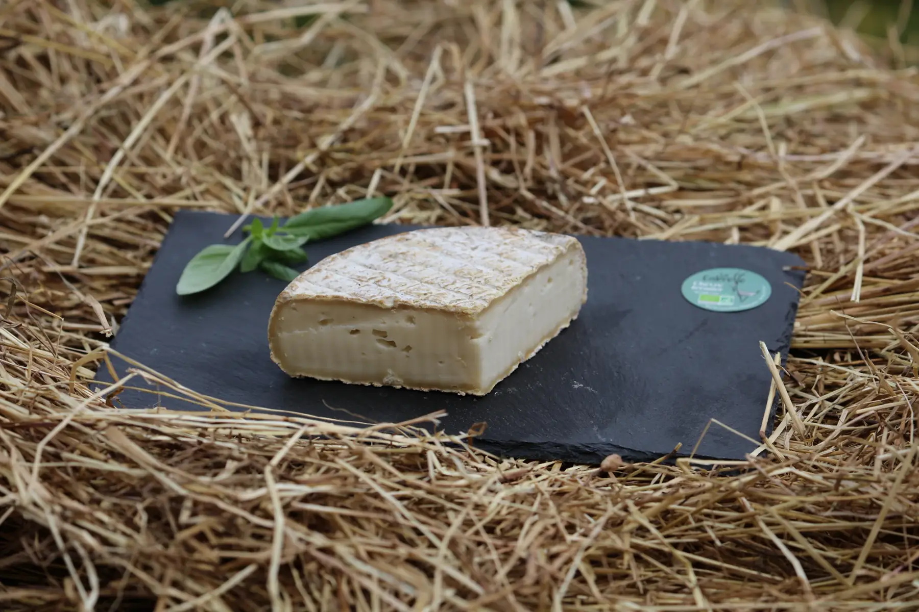 tome de chèvre