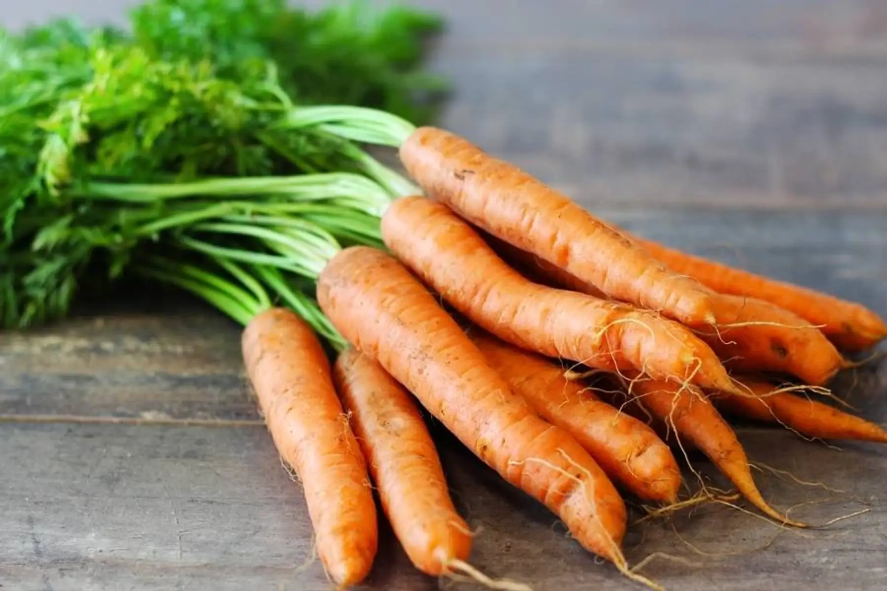 carotte botte