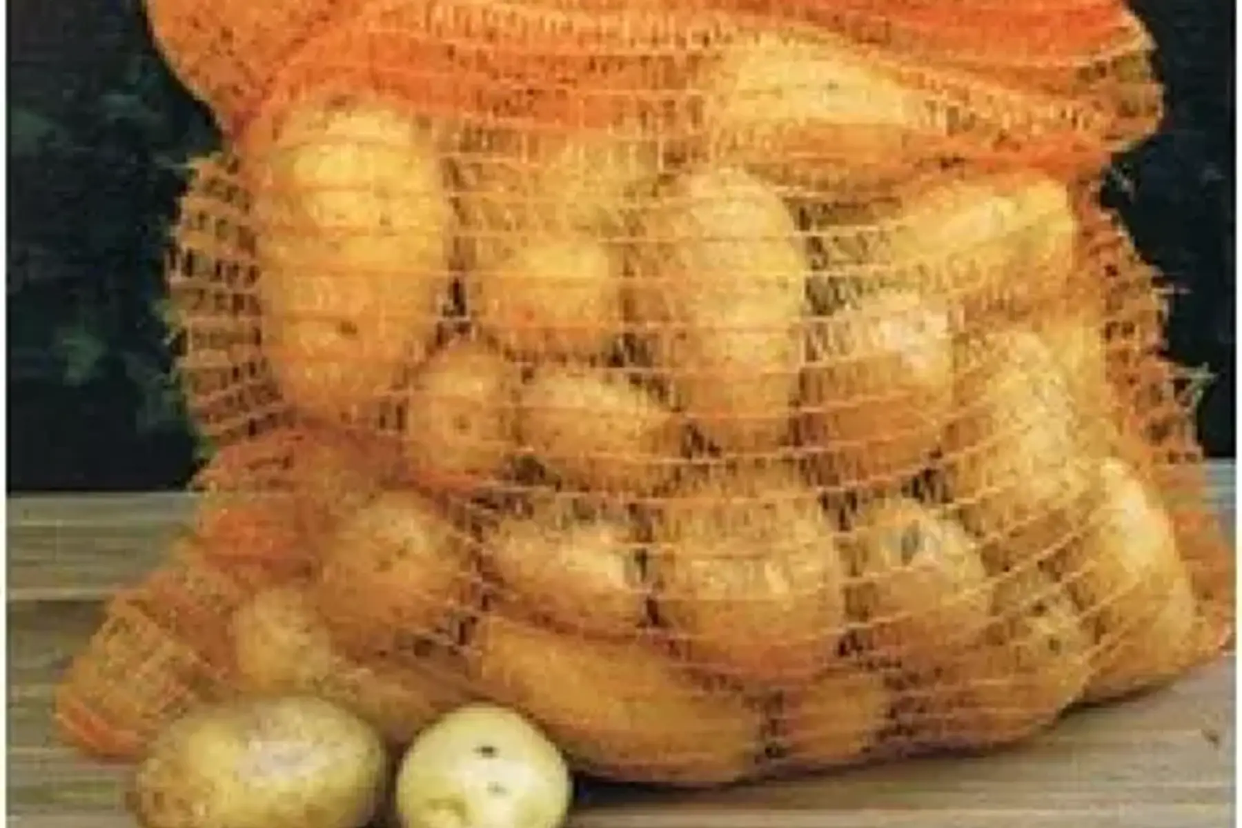 Filet 5kg pomme de terre