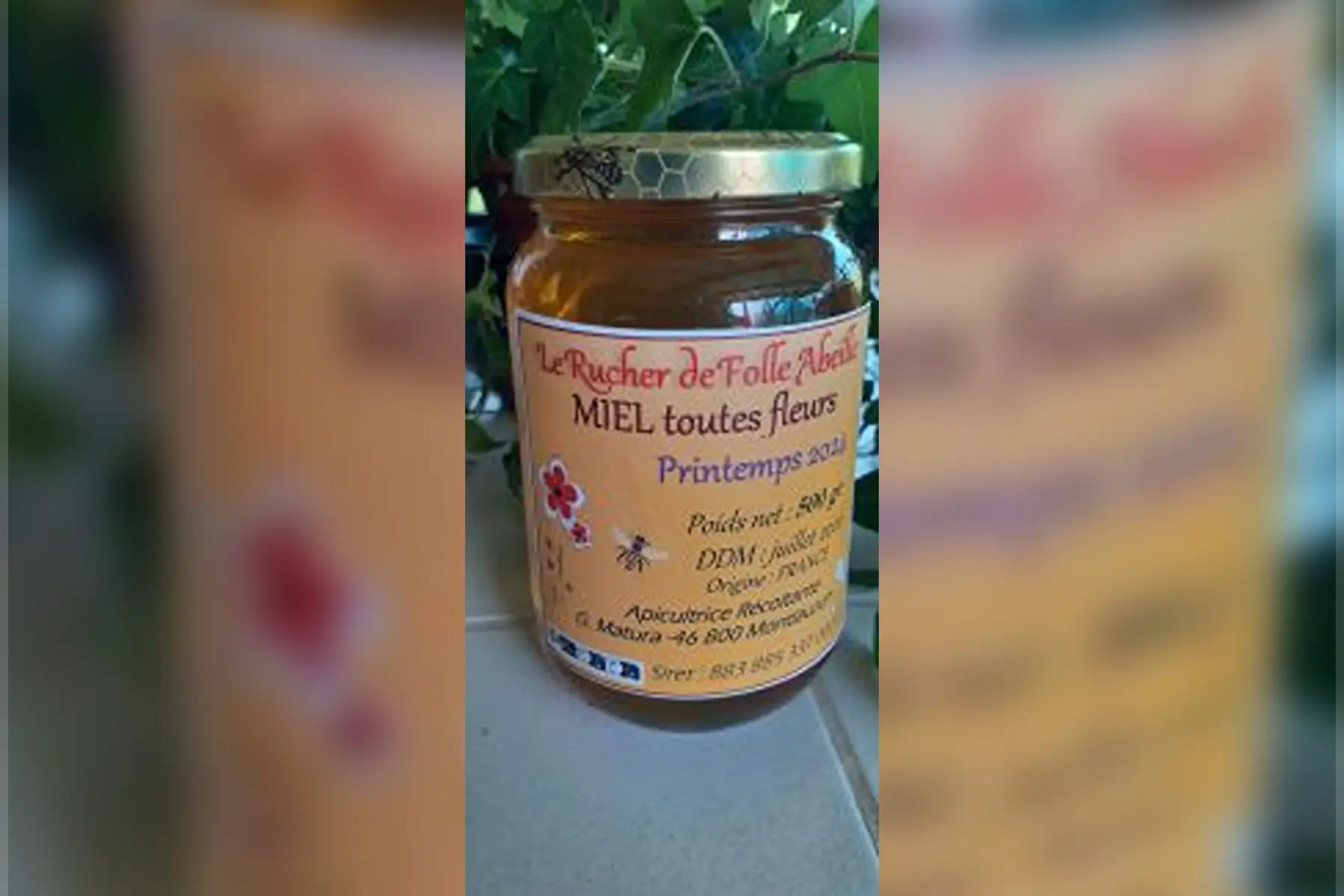 Le Rucher de Folle Abeille - Gaëlle Matura