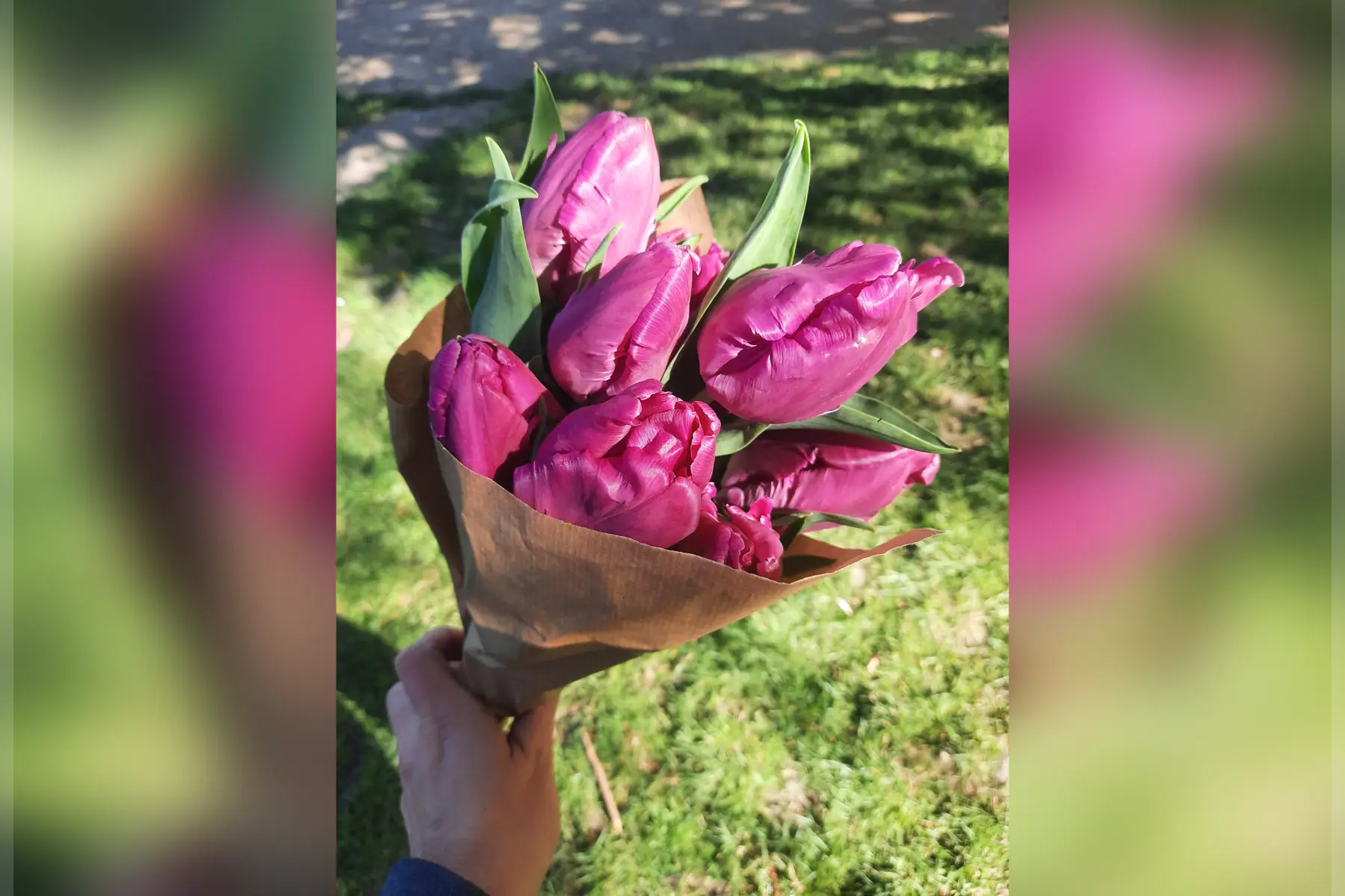 MADOUCE - Ferme florale