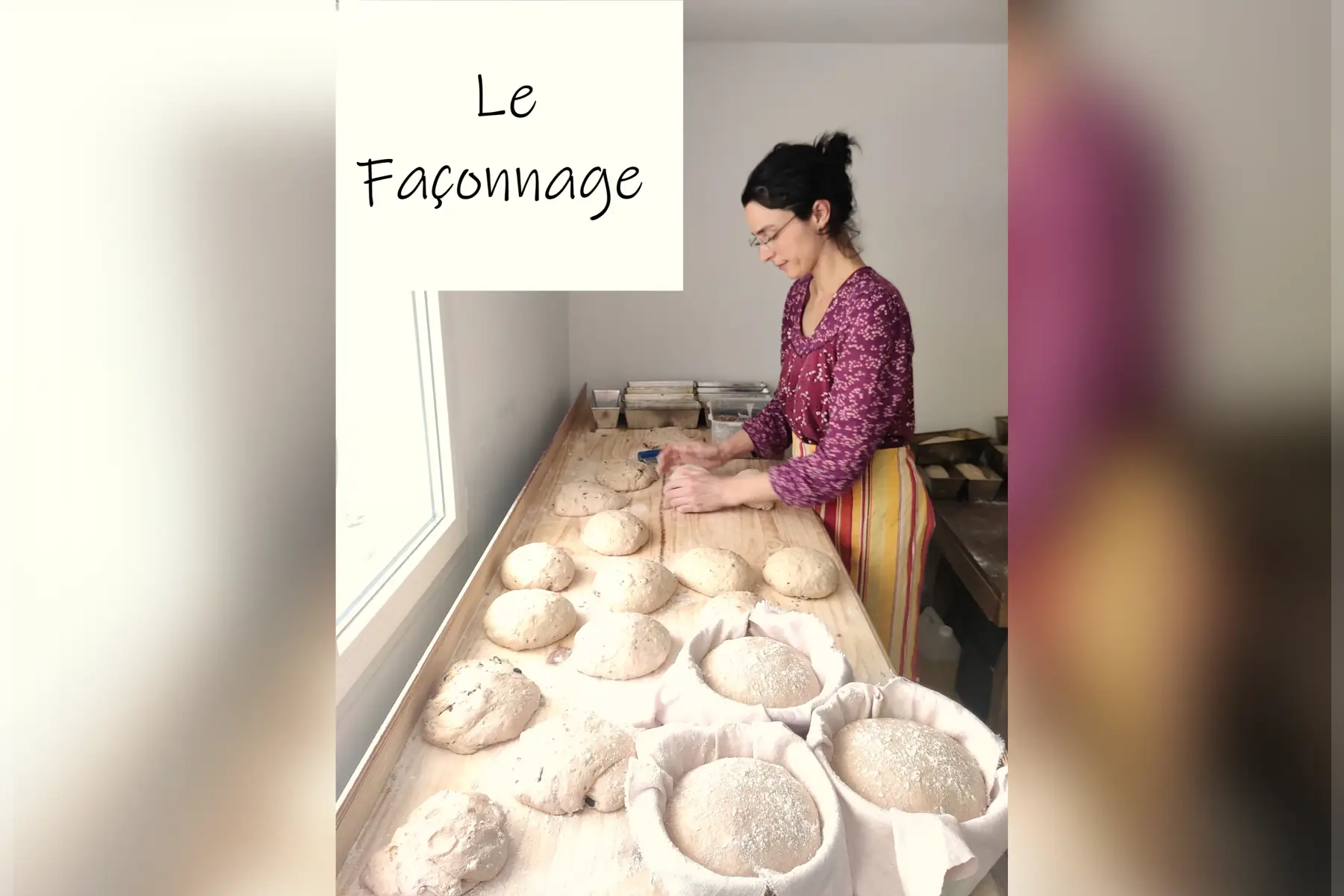 Le Pain de Marion - Pollen scop