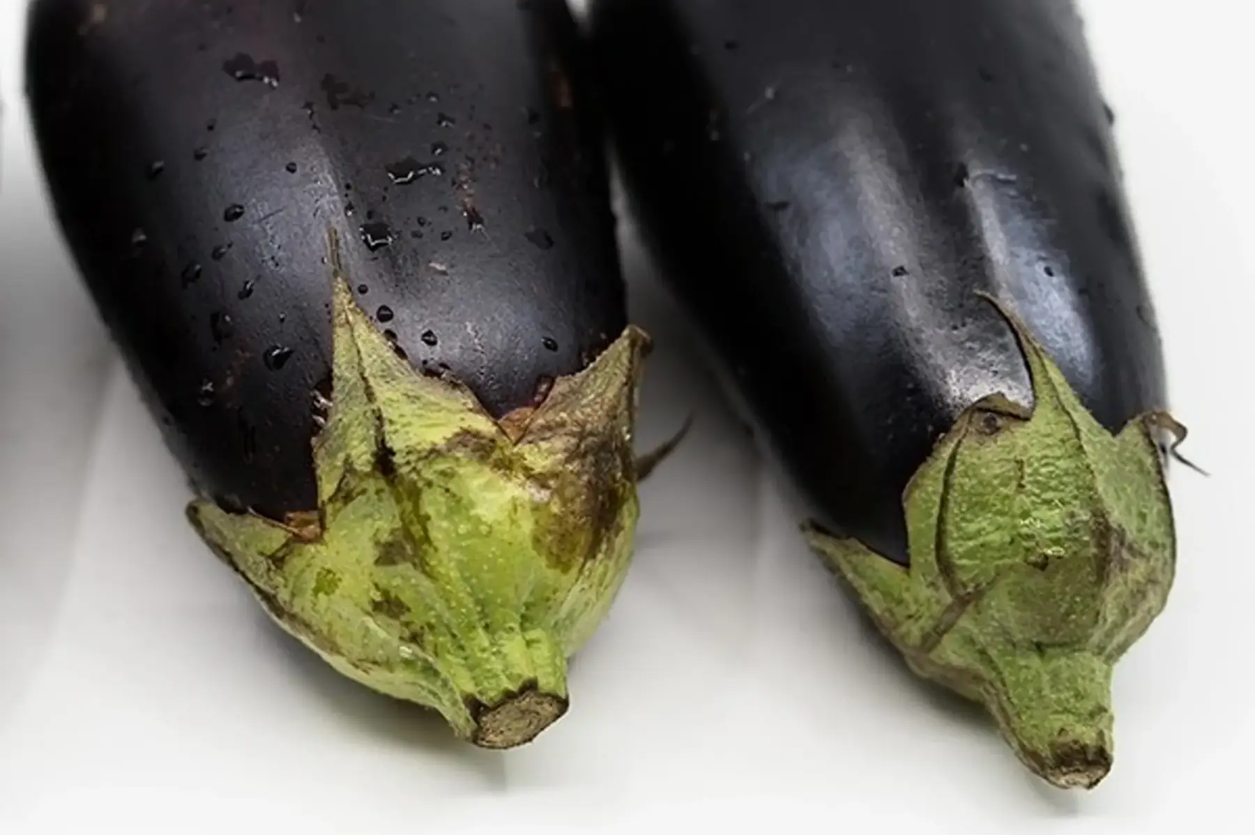 Aubergine