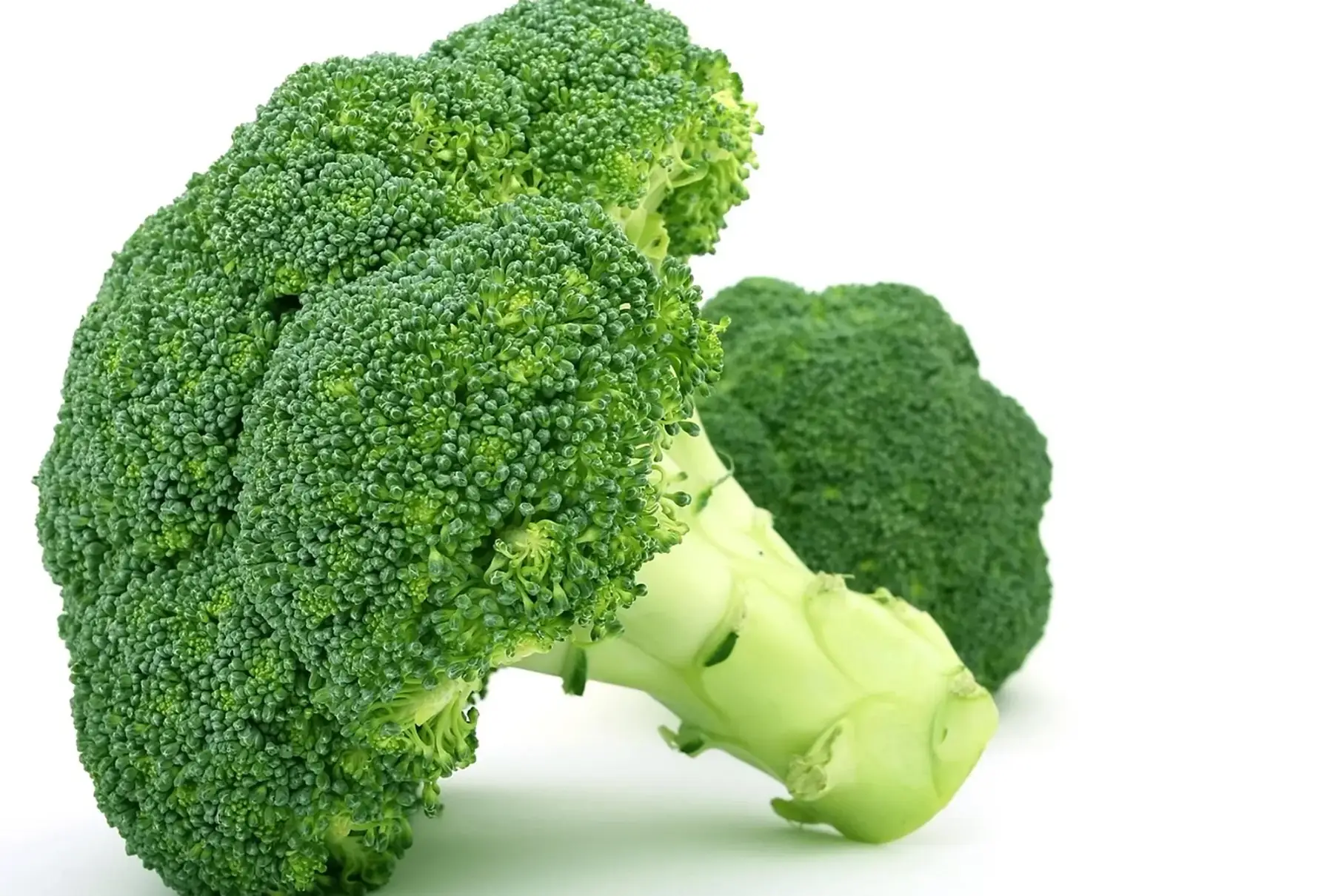 Chou brocoli
