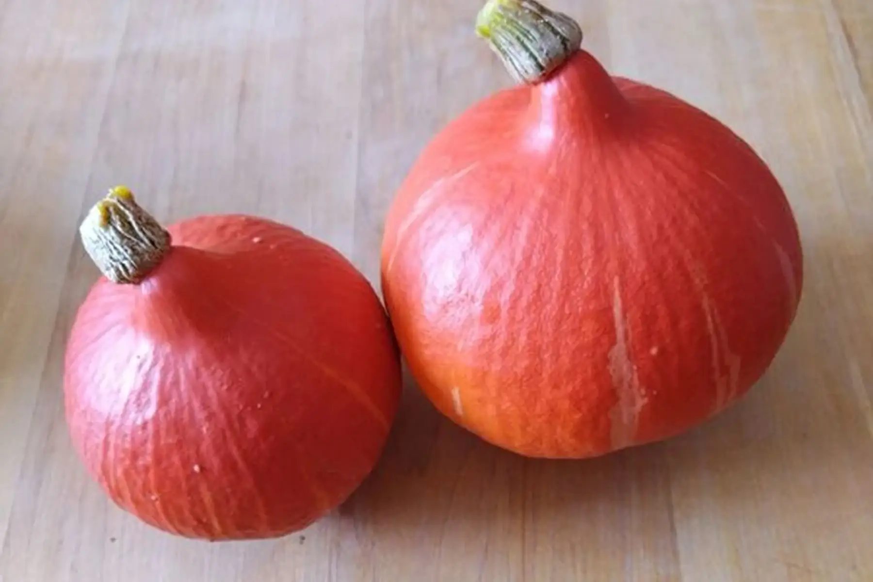 Courge Potimarron (700g-1kg)