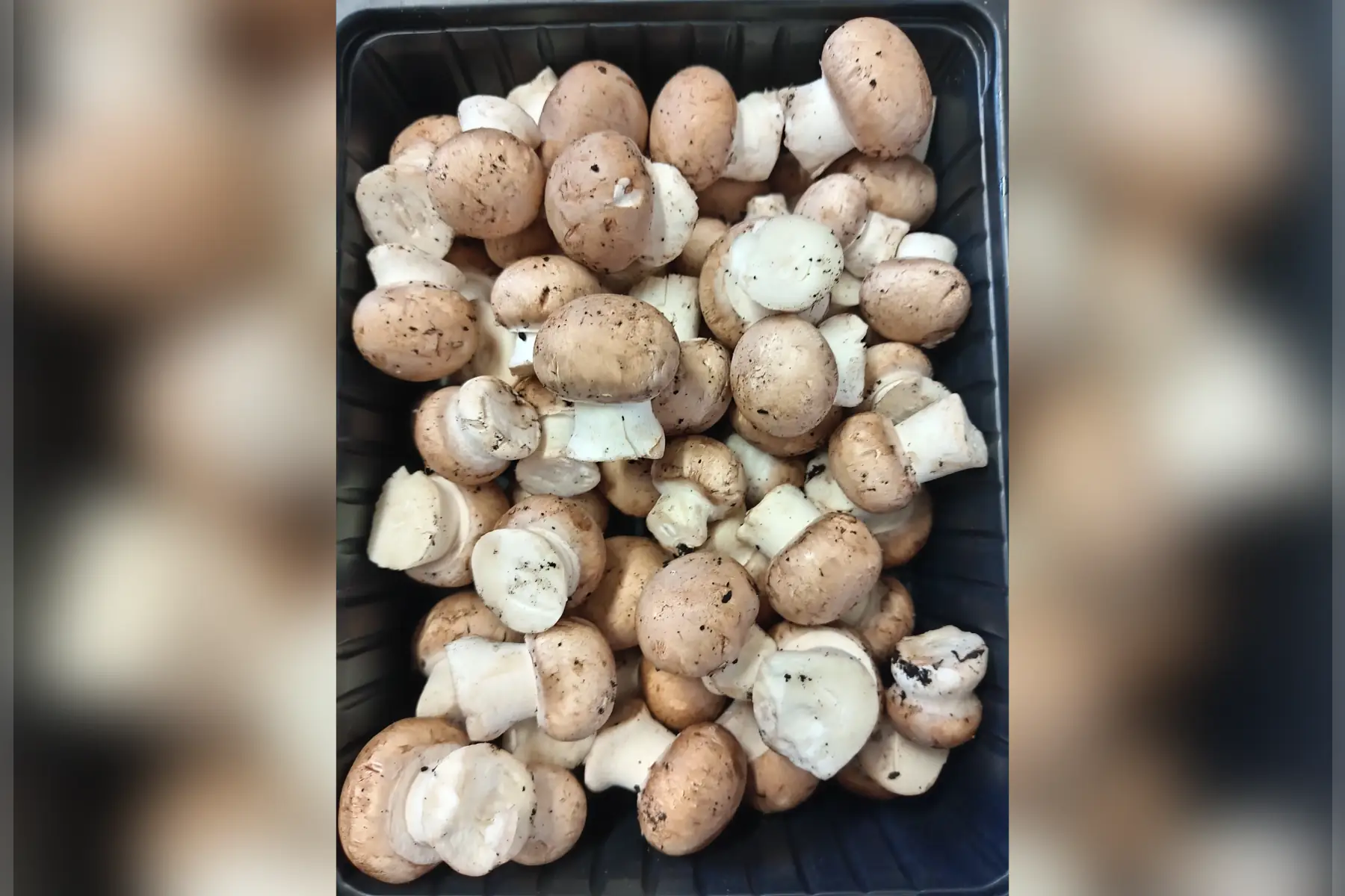 Mini champignons bruns de Paris