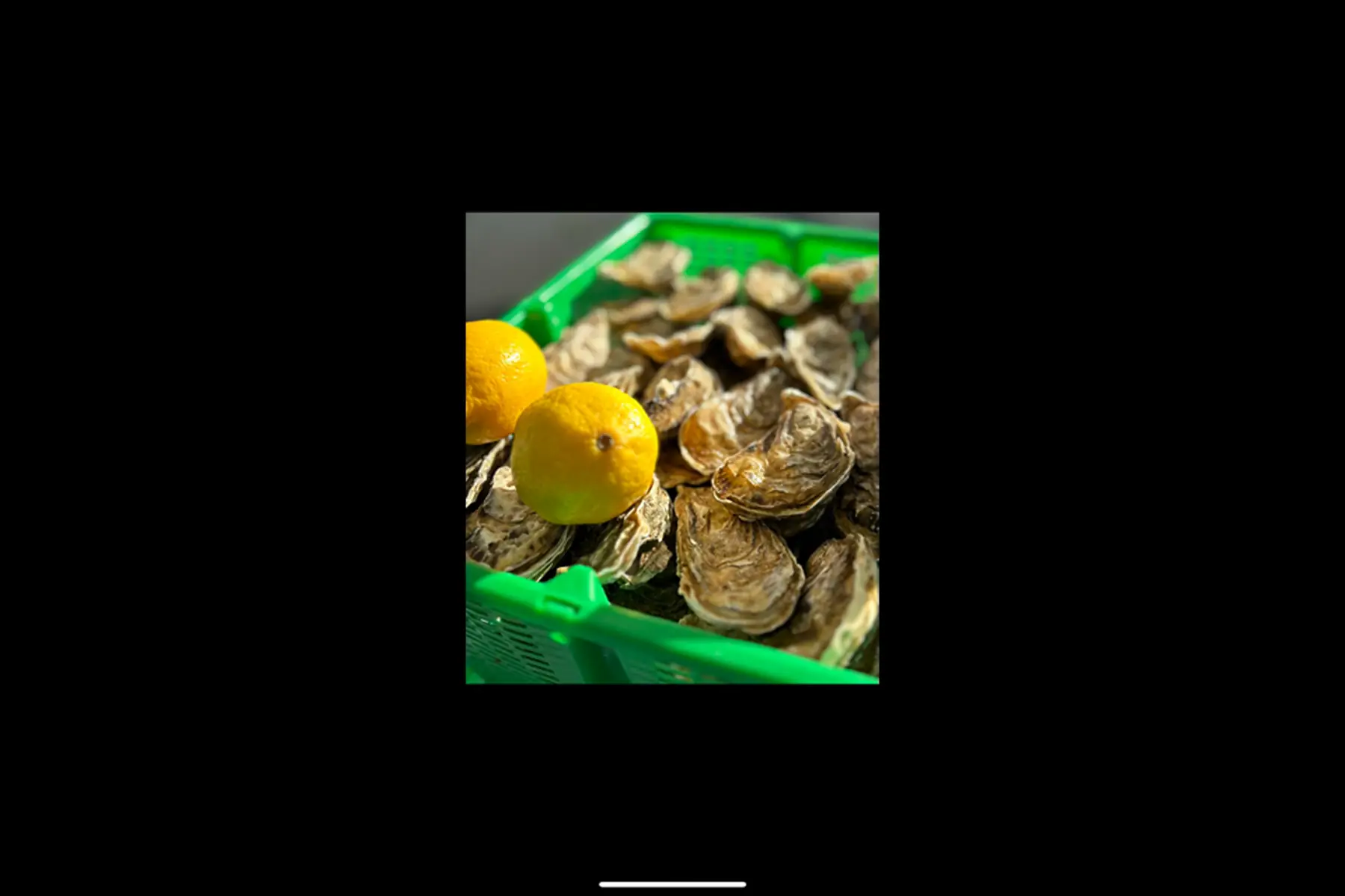 huitres bouzigues n°3