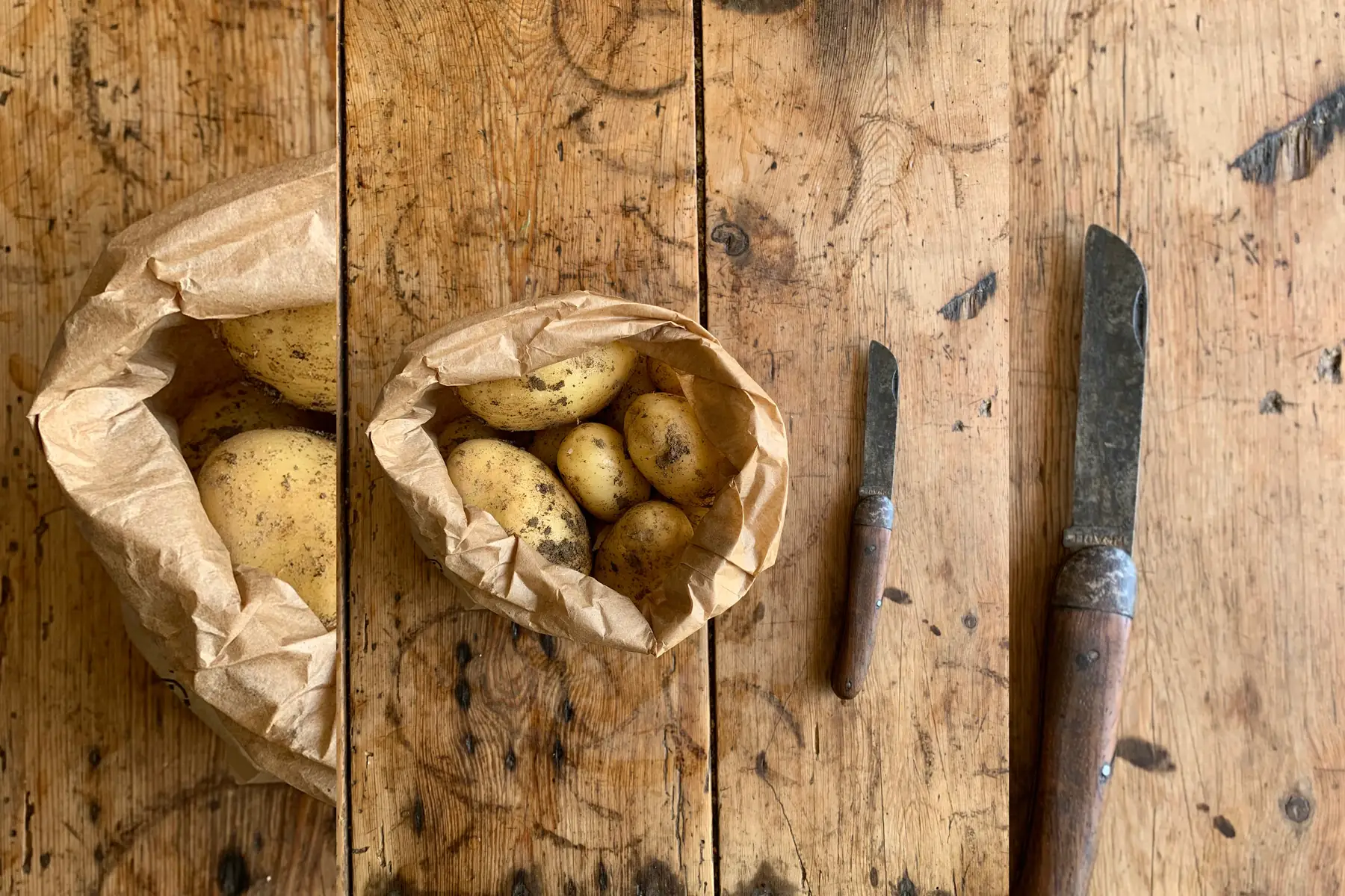 Pomme de terre chair ferme