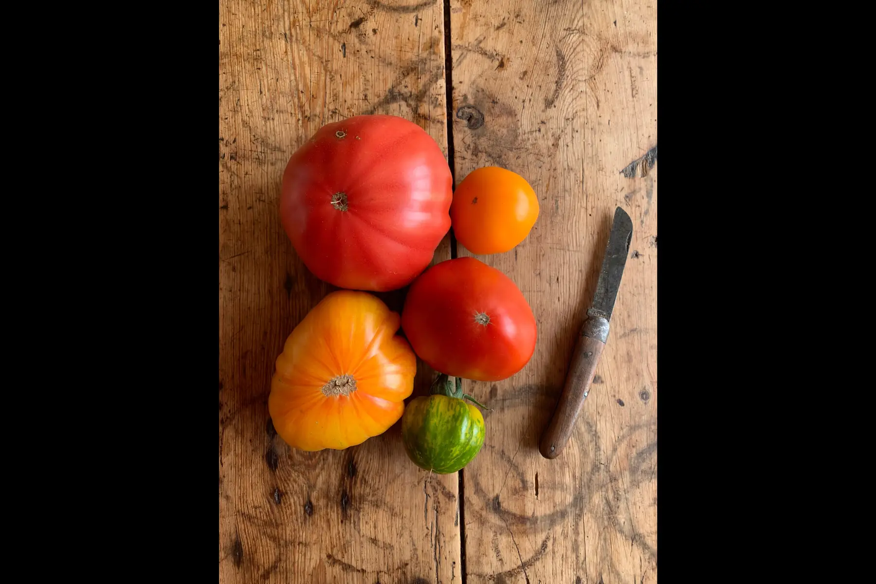 tomates anciennes