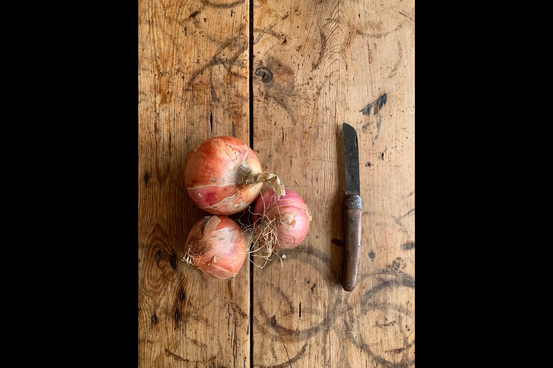 Oignons rosé