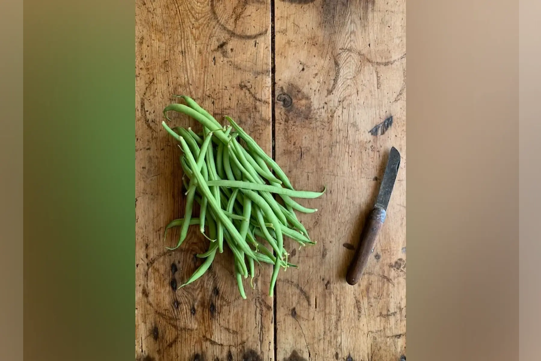 haricot vert