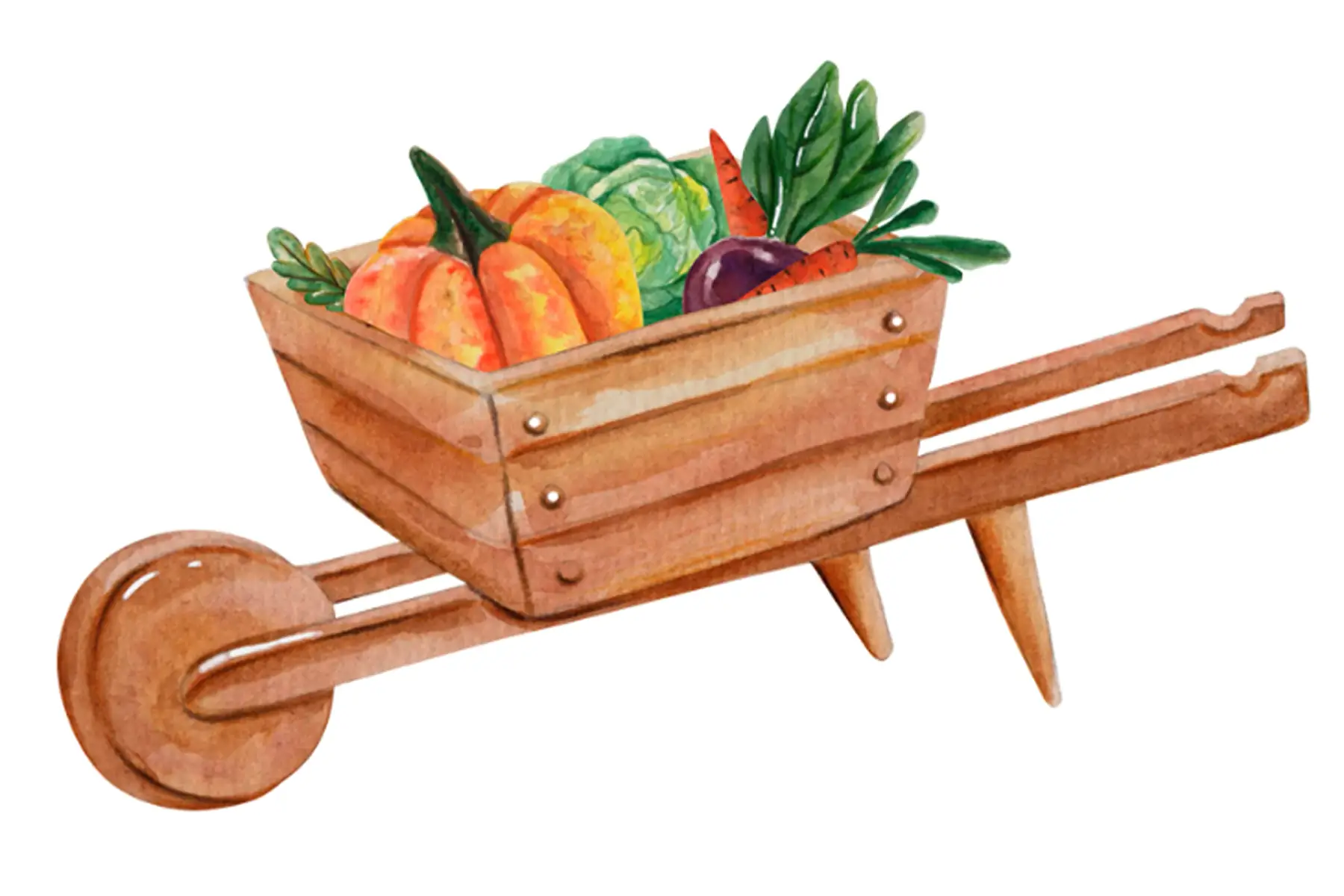 - brouette - grand format