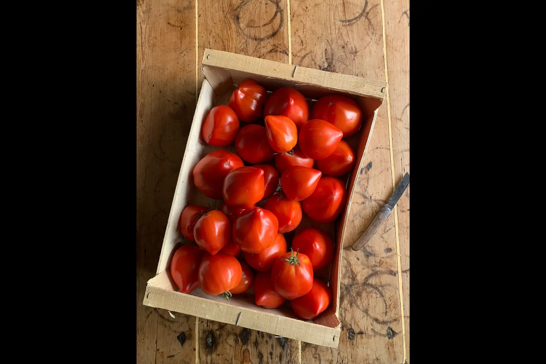 Tomate ancienne colis 5kg