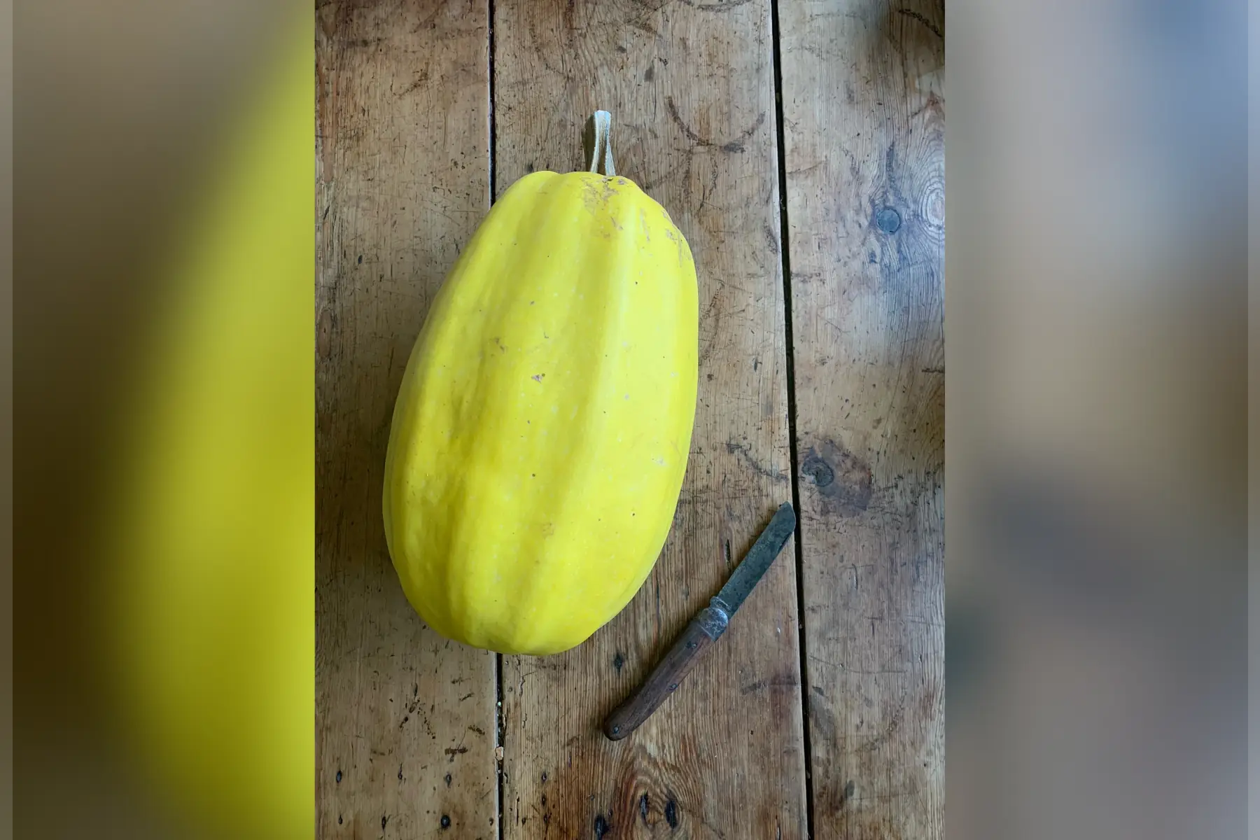 Courge spaghetti