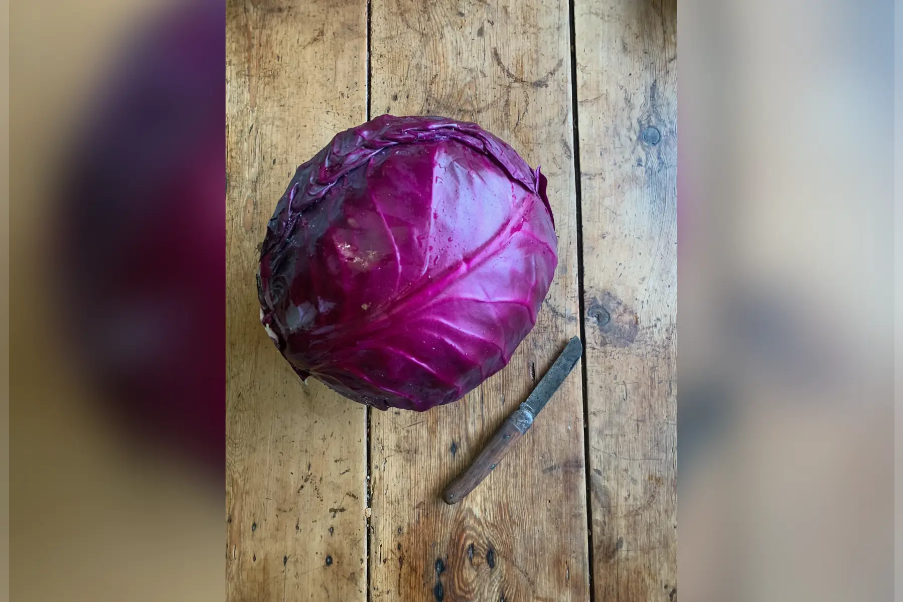 chou rouge (1kg mini)