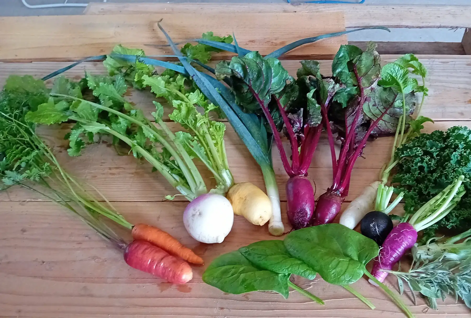 panier de légumes "duo" pour 1 à 2 personnes