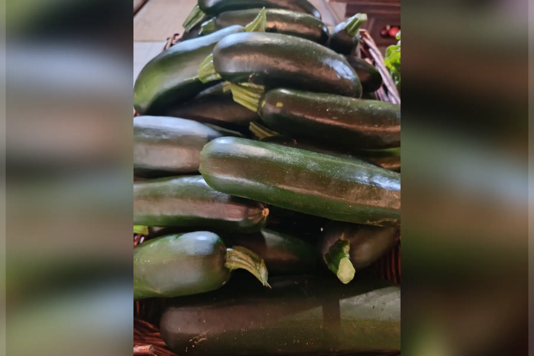 courgettes XL