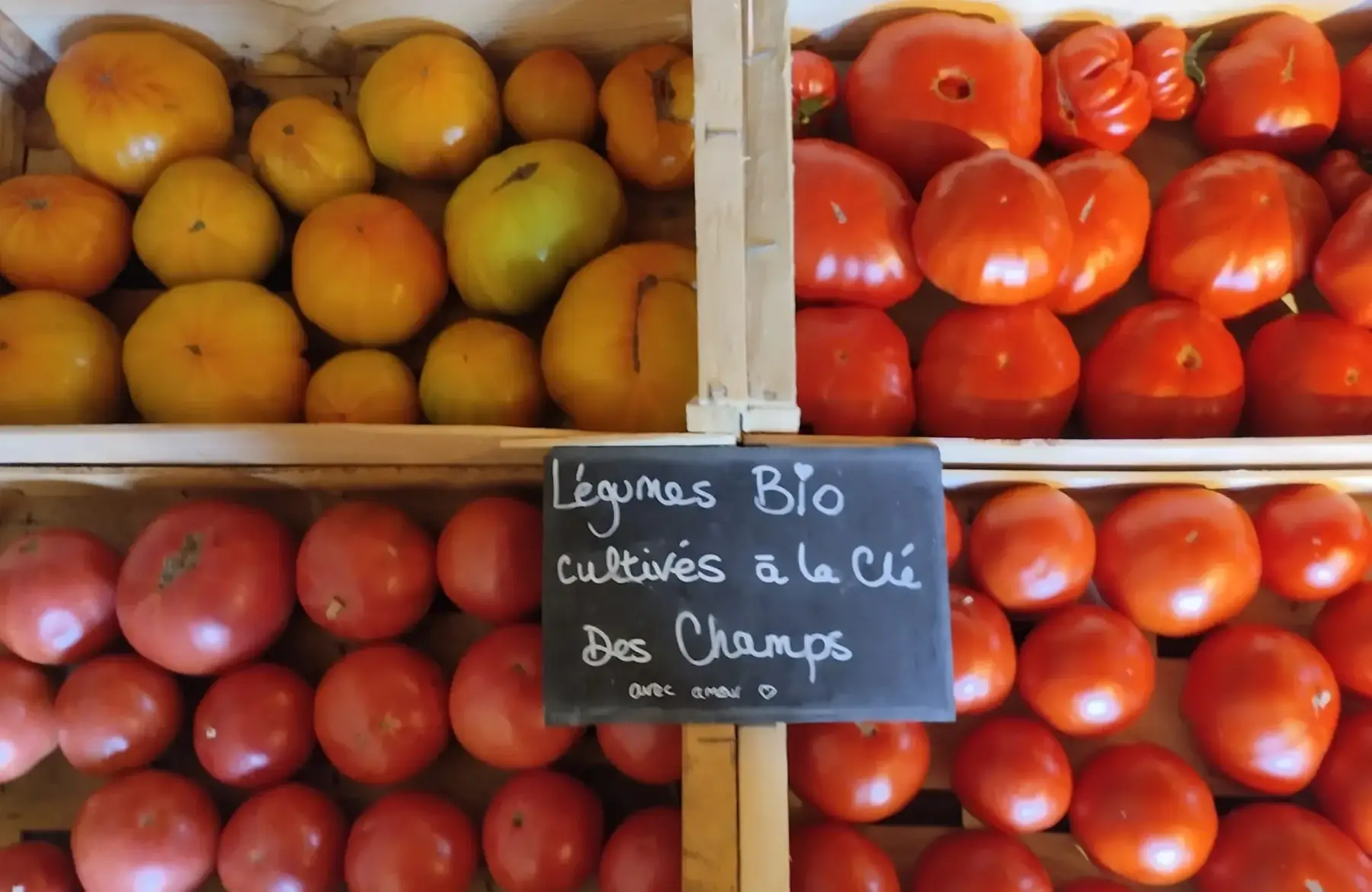Tomate